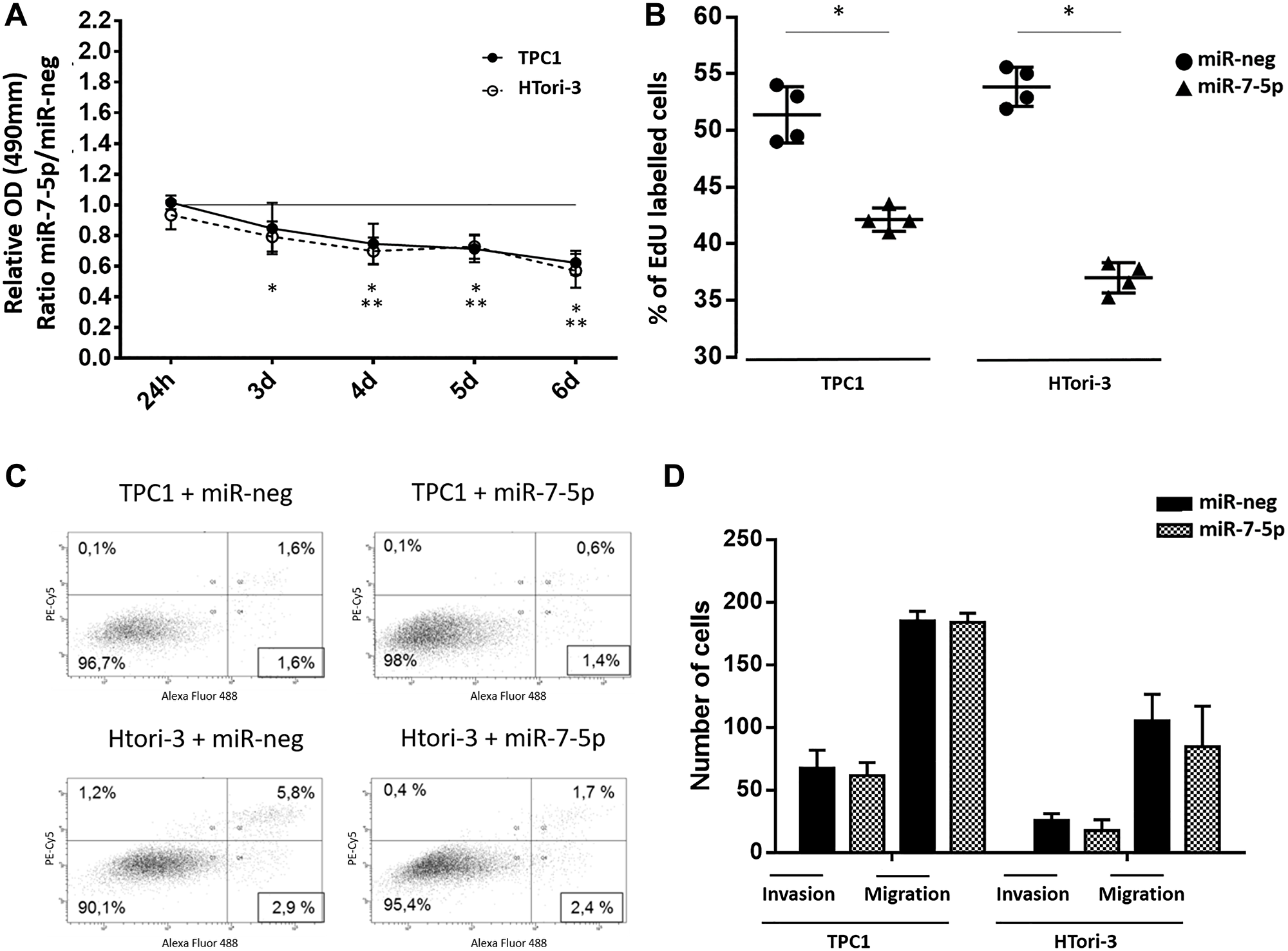 Functionnal consequences of miR-7-5p transfection in thyroid cell lines