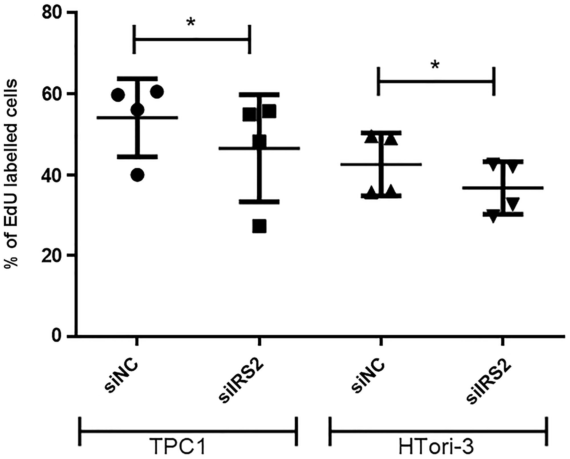 Inhibition of cell proliferation following IRS2 knockdown in TPC1 and HTori-3 cells