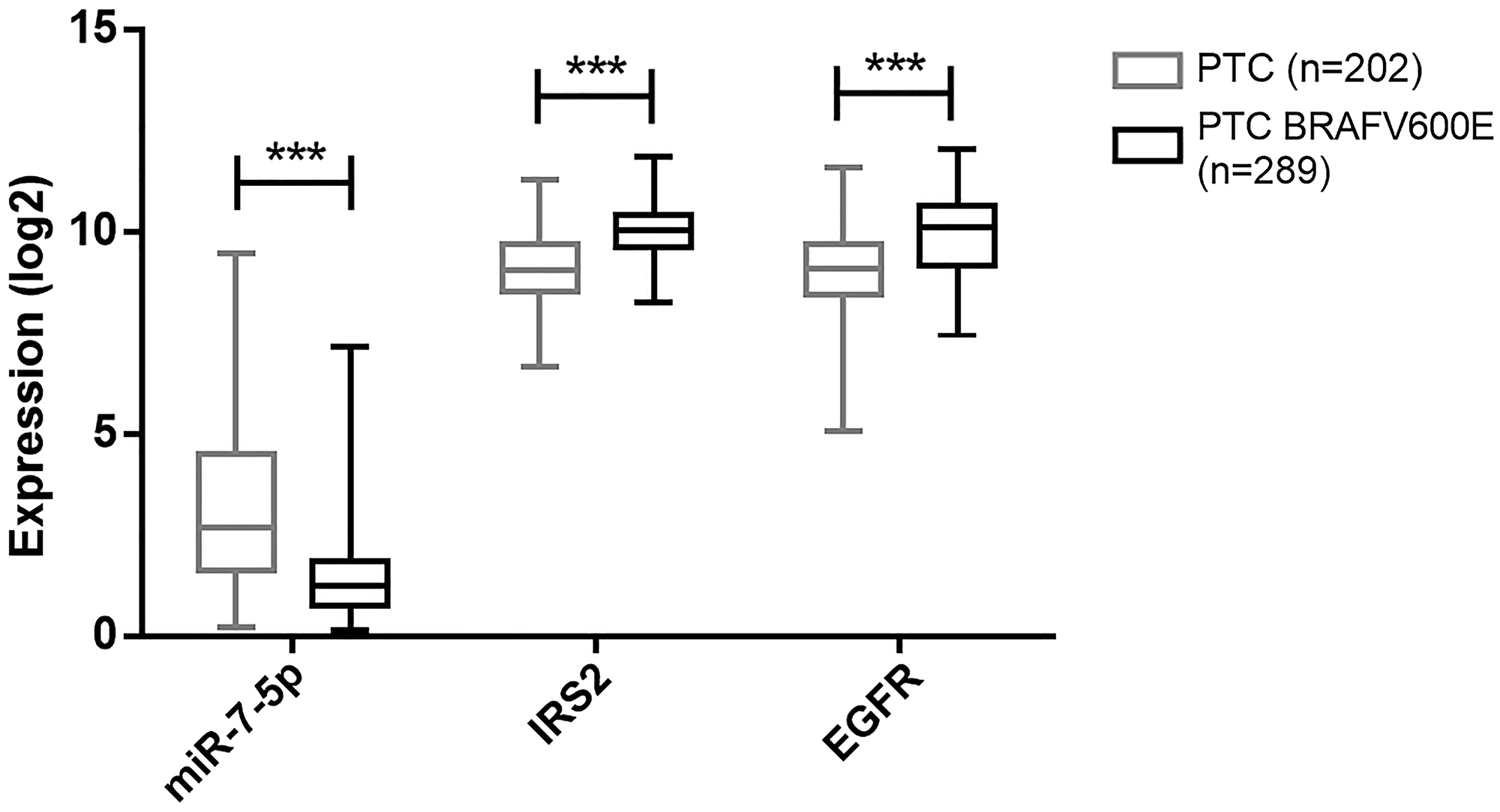 Dereregulation of miR-7-5p, IRS2 and EGFR according to PTC aggressivity
