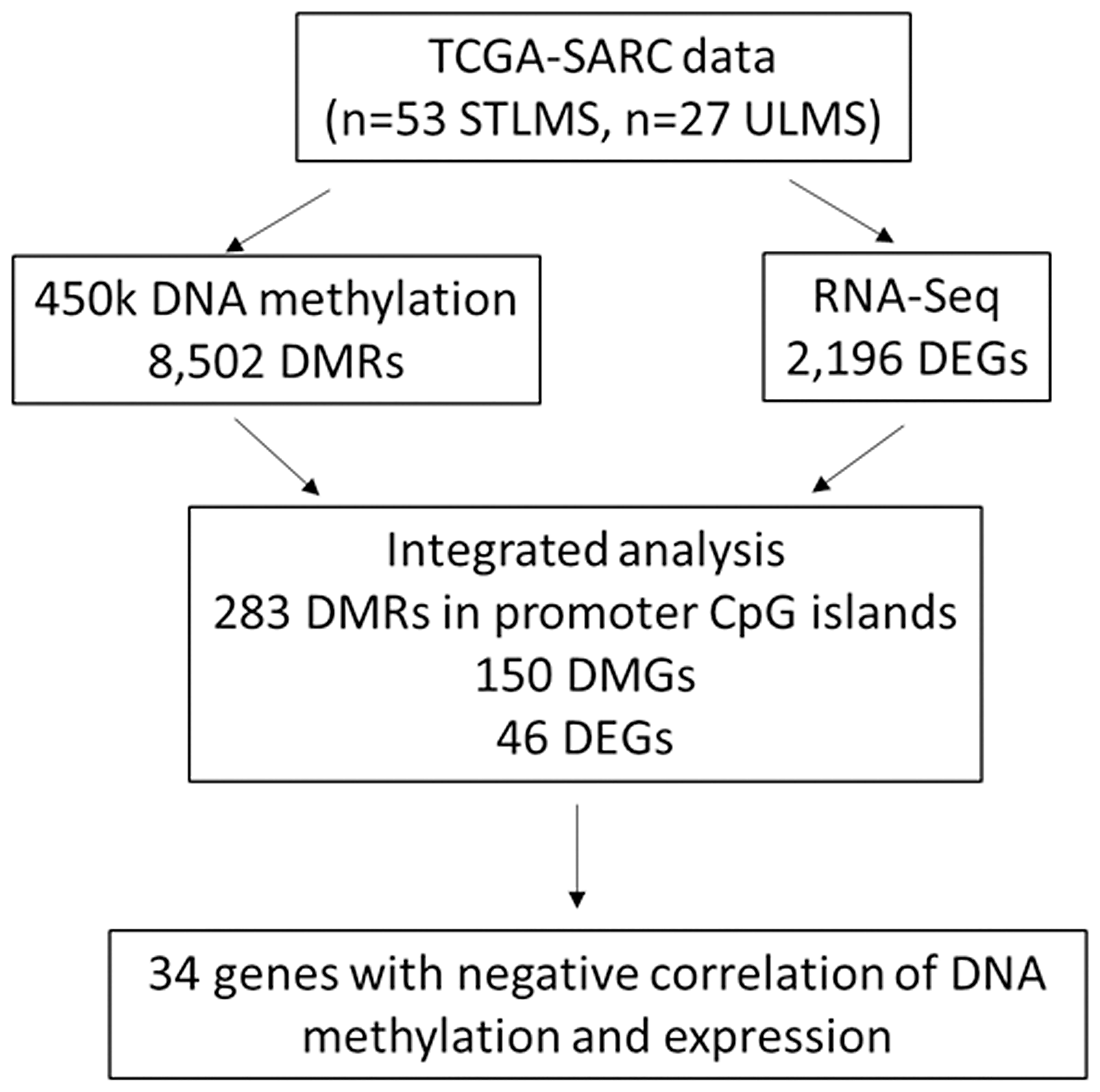 Overview of the analysis