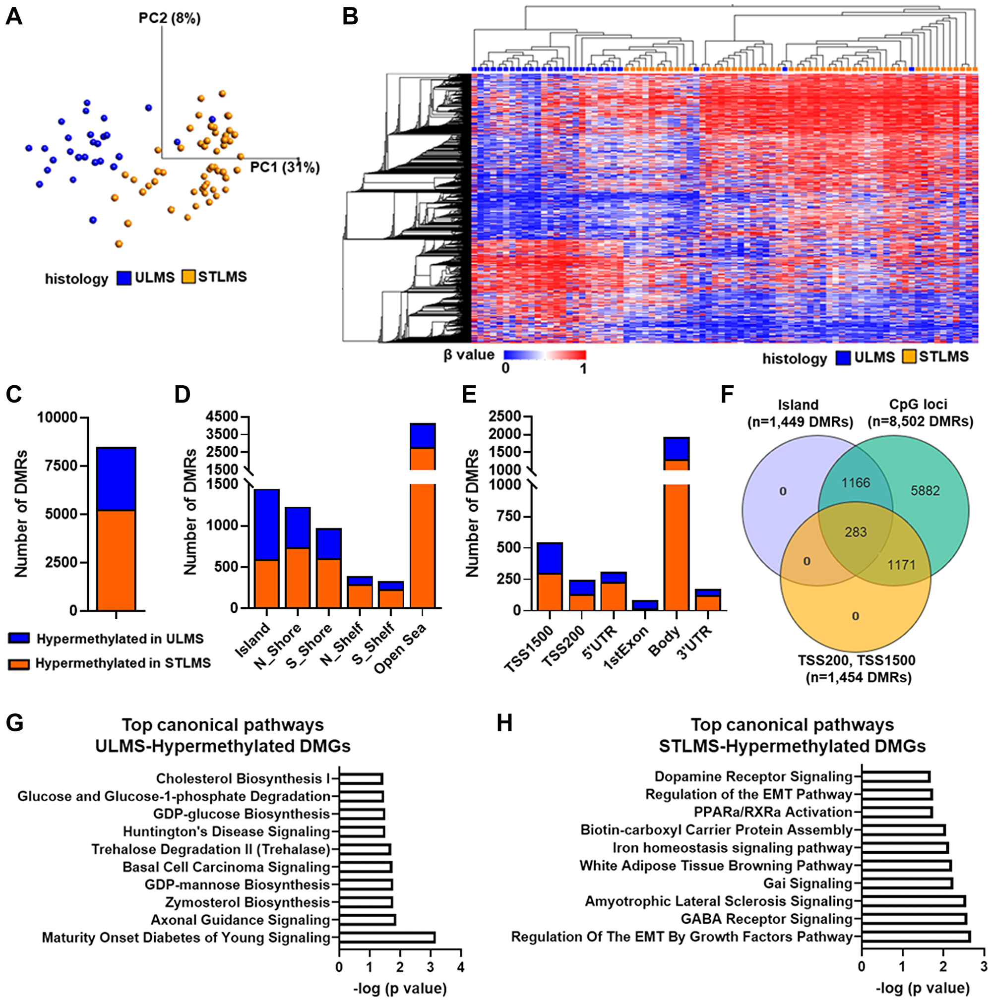 DNA methylation landscape of LMS