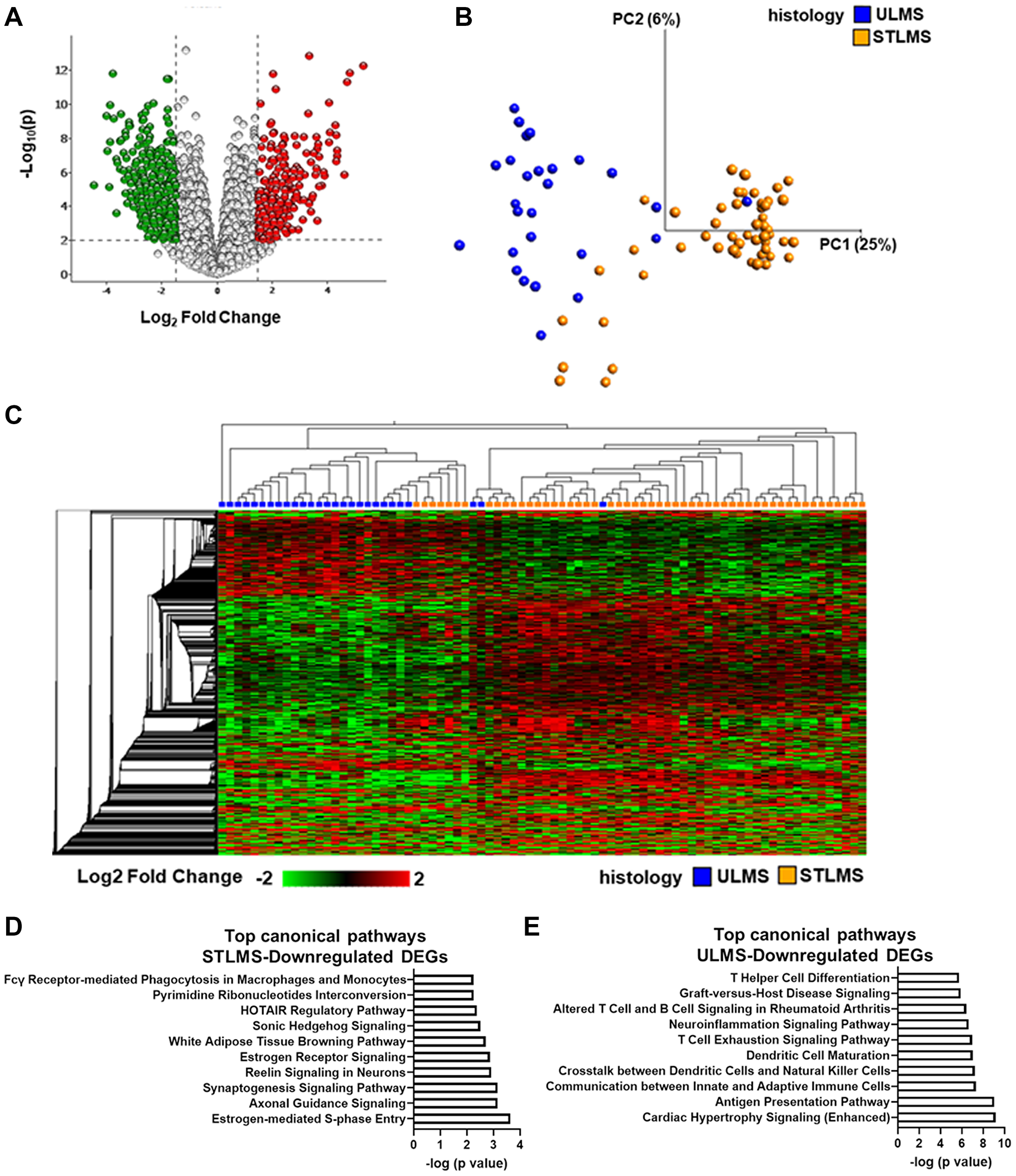 Profiling of differentially expressed genes in LMS