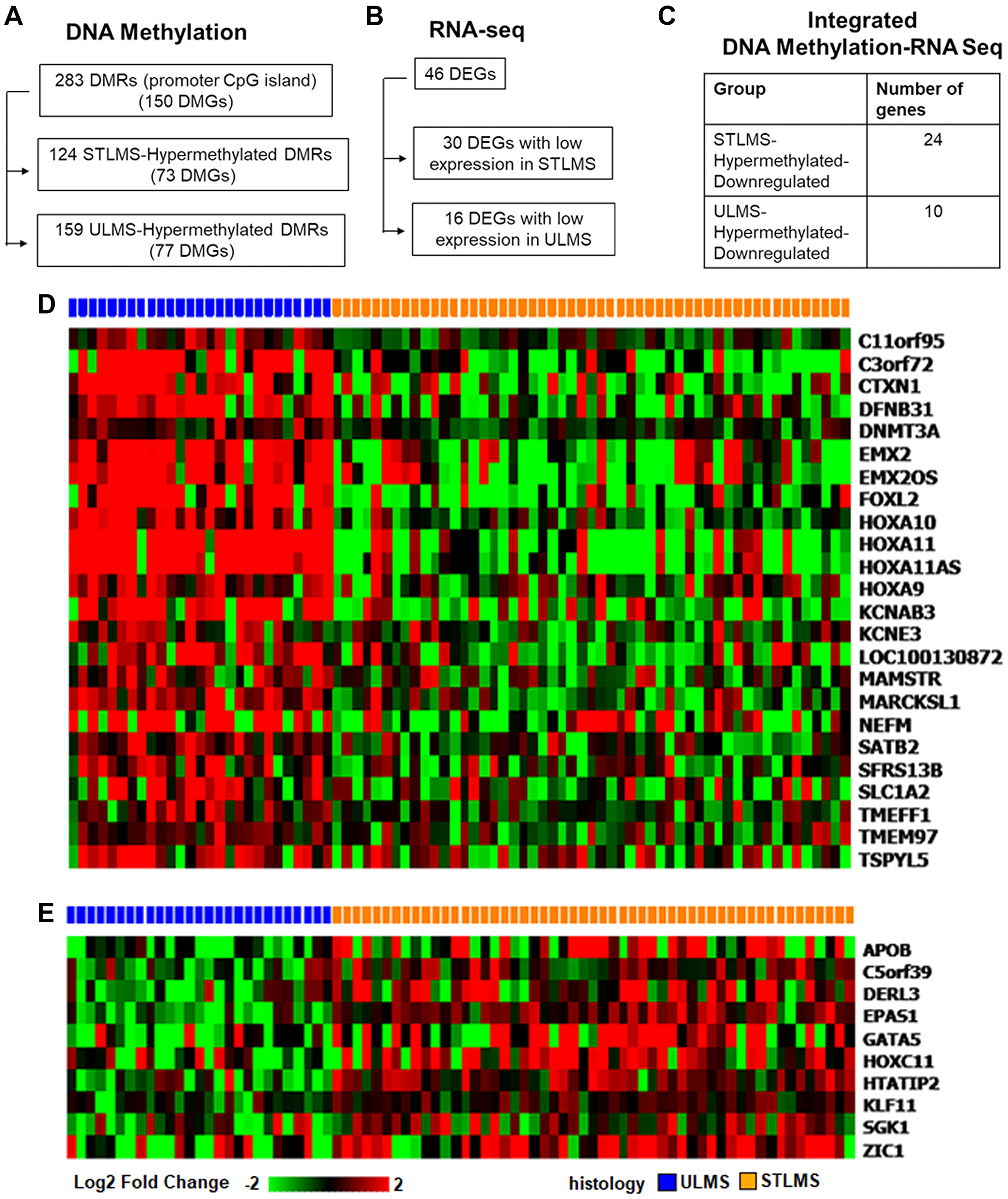 Integrated analysis of differentially methylated and expressed genes in ULMS and STLMS