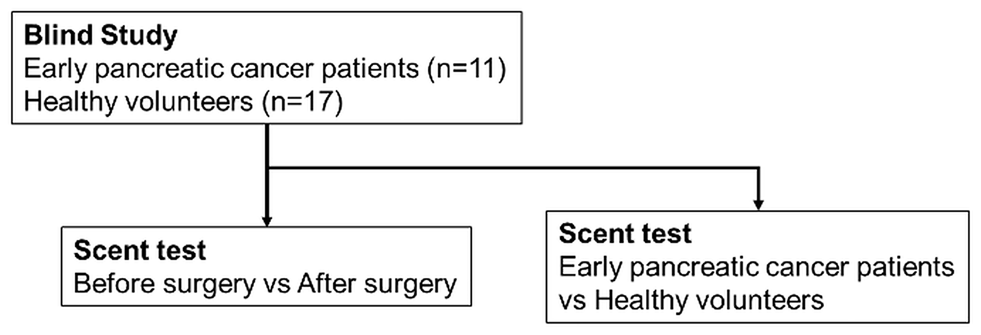 Schema of the scent test using Caenorhabditis elegans for the screening of pancreatic cancer in the blinded study