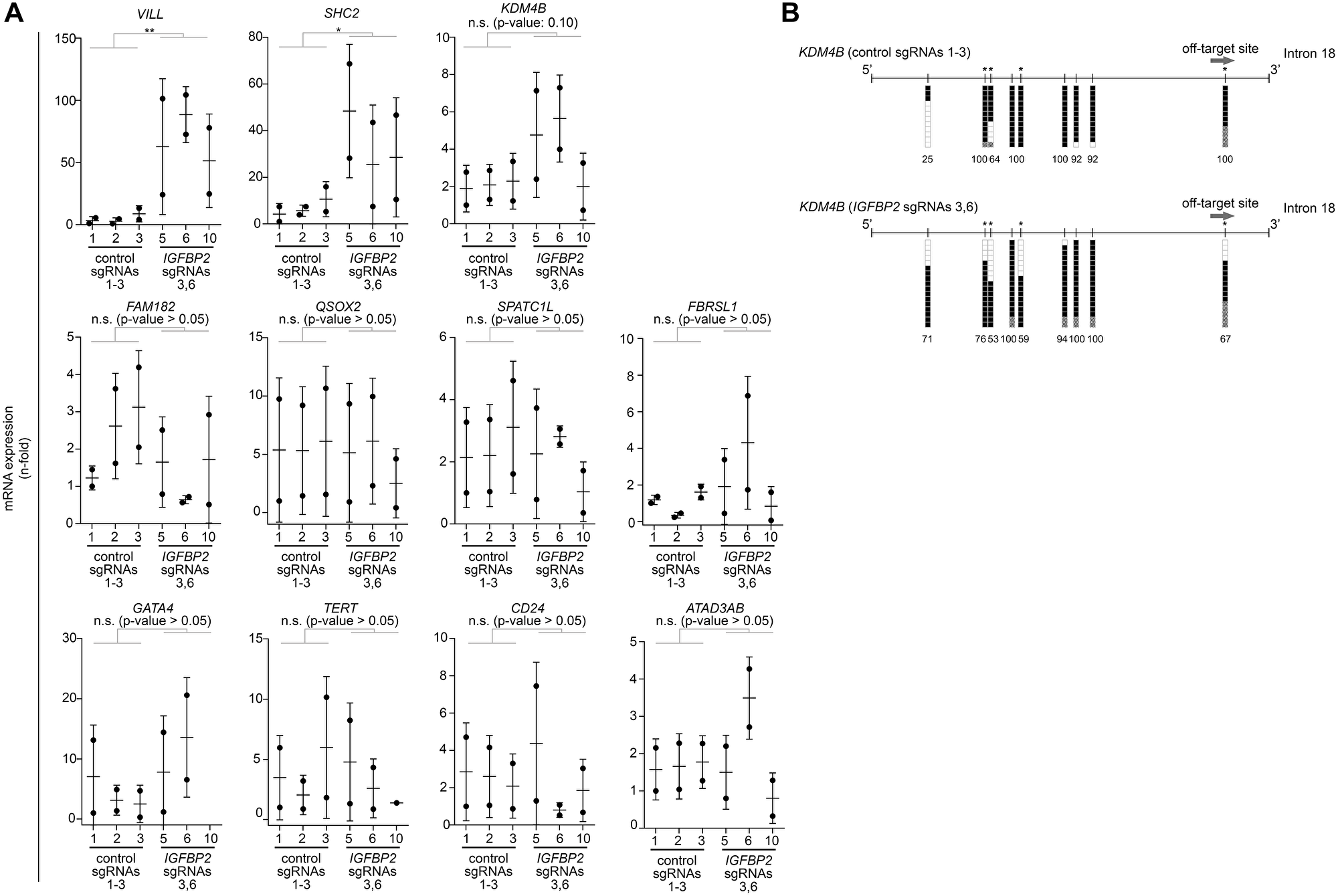 Off-target analysis identified some indirect effects by CRISPR/dCas targeting