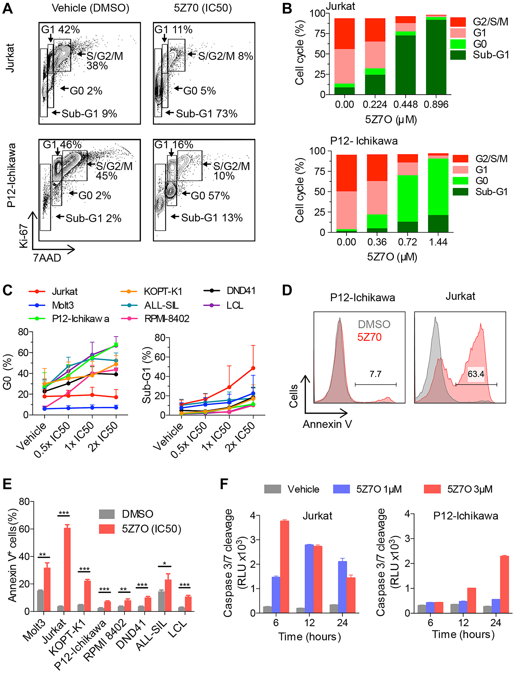 Treatment with 5Z7O inhibits cell proliferation and induces apoptosis in T-ALL cell lines