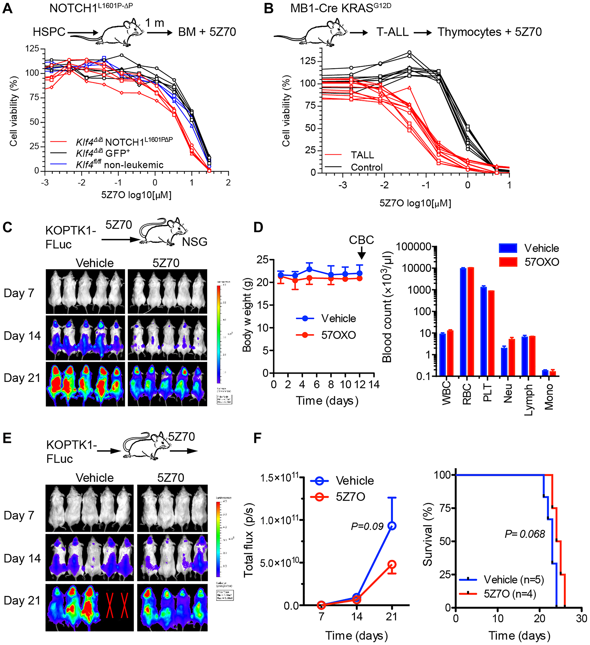 Leukemic cells from T-ALL mouse models are sensitivity to 5Z7O