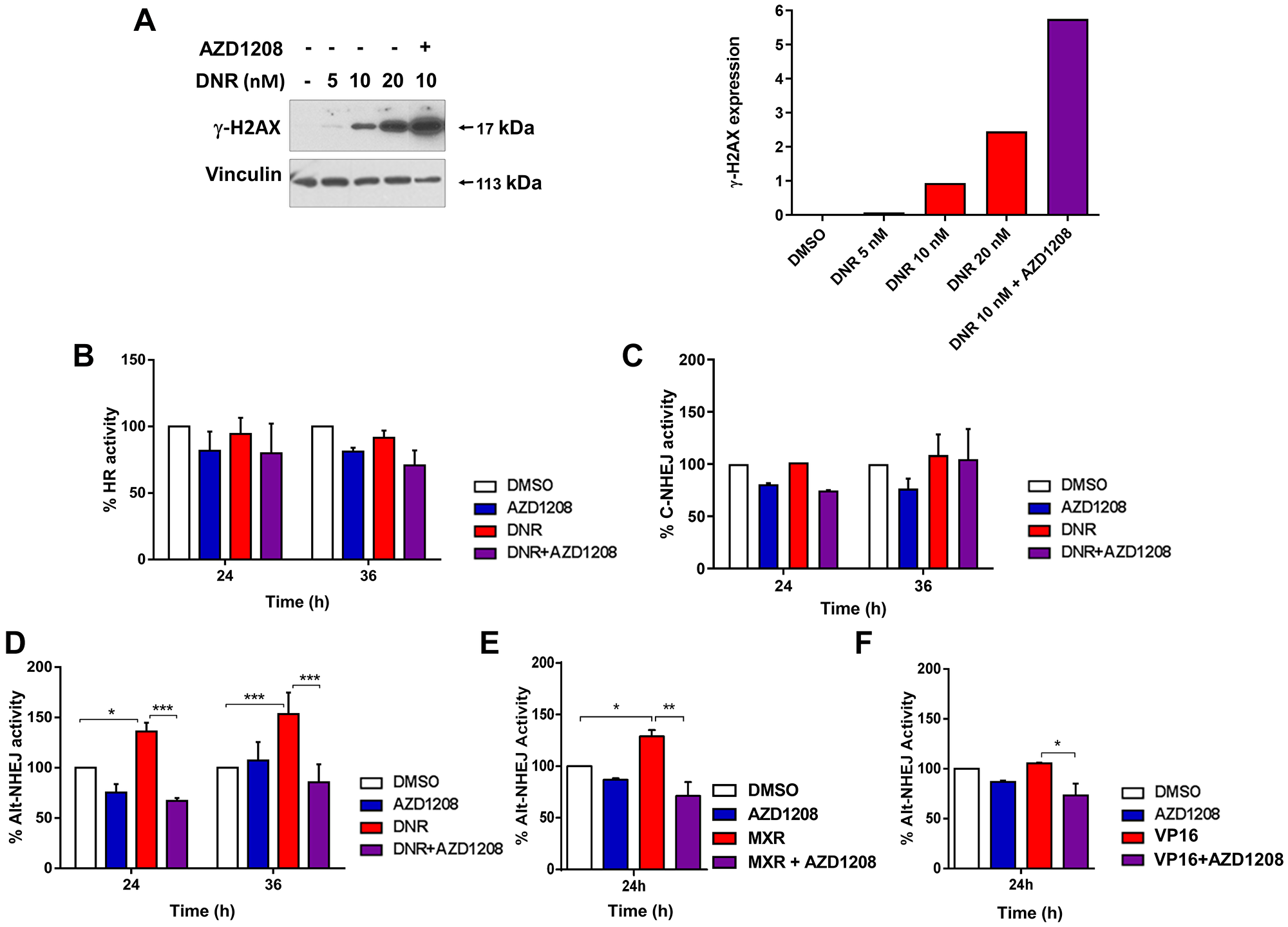 Topoisomerase 2 inhibitor treatment upregulates Alt-NHEJ, but not HR or C-NHEJ, DNA DSB repair activity in cells with FLT3-ITD, and Pim inhibitor co-treatment abrogates Alt-NHEJ upregulation