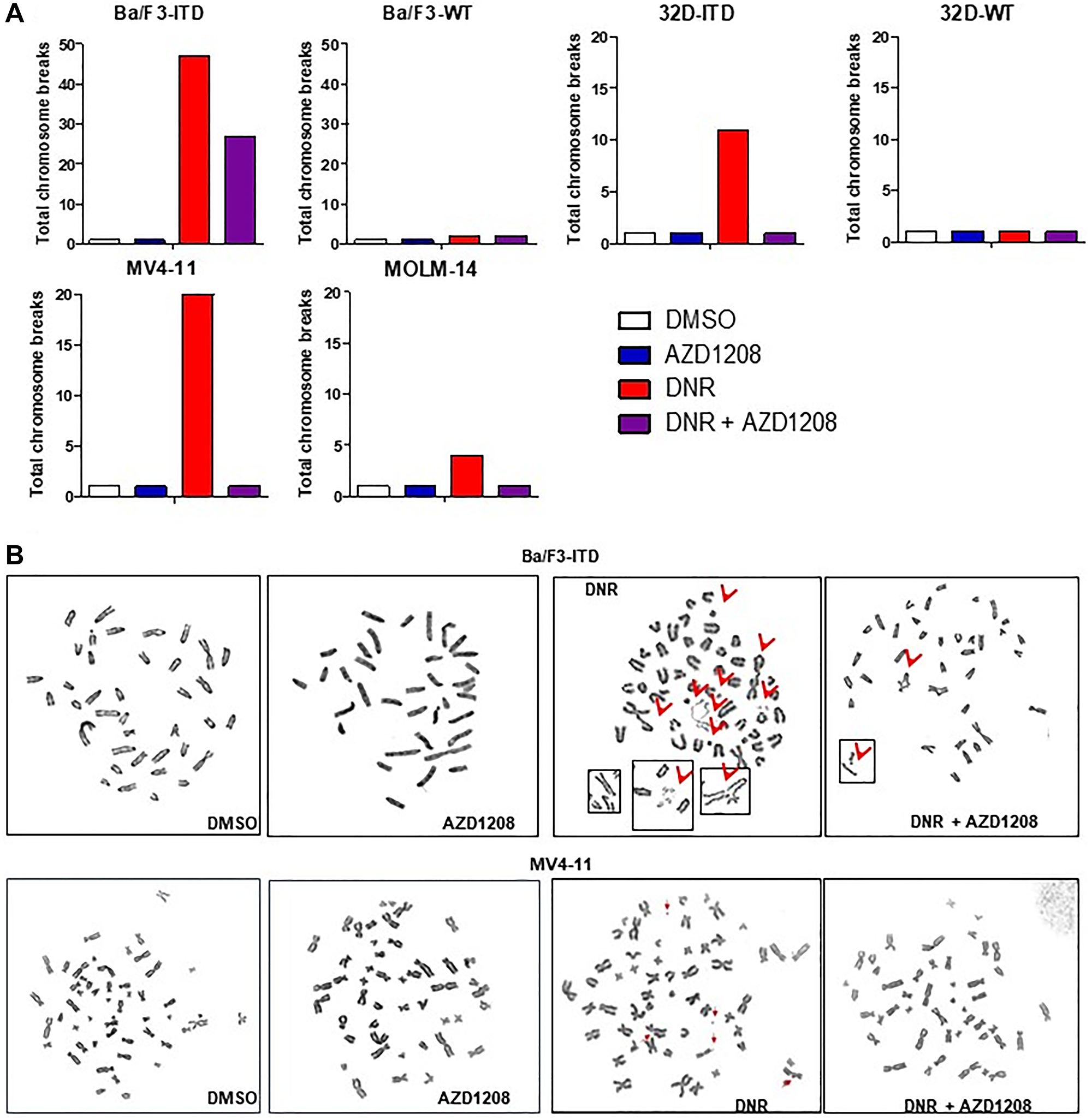 Pim kinase inhibition significantly reduces chromosome breaks induced by topoisomerase 2 inhibitor treatment in cells with FLT3-ITD, but not wild-type FLT3
