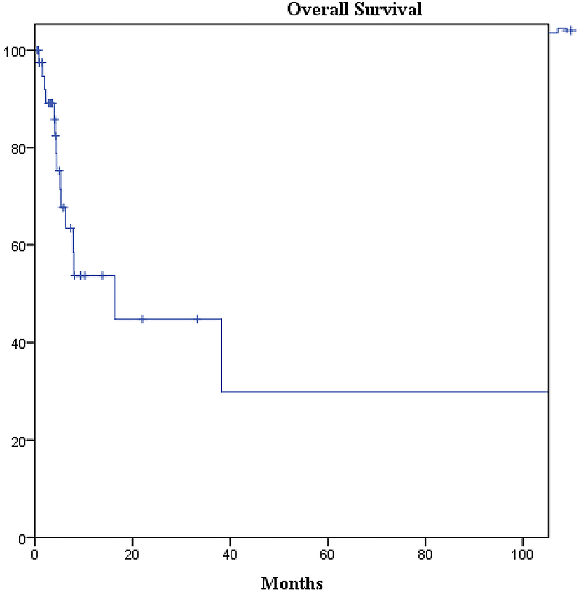 Kaplan-Meier curve of overall survival of the cohort