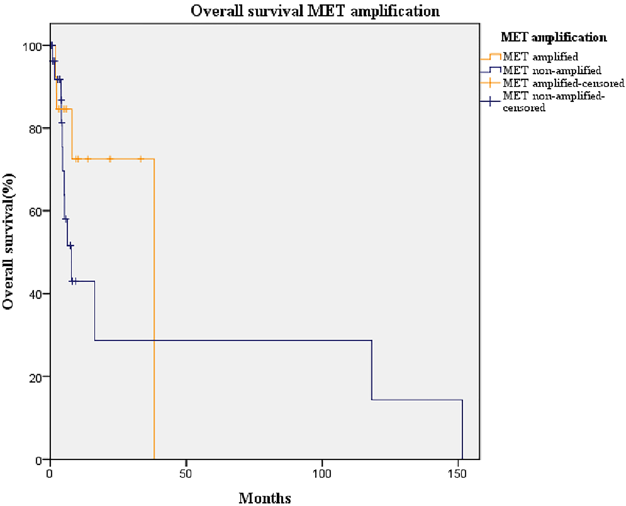 Kaplan-Meier curve of overall survival of patients with amplified MET (orange line) and non-amplified MET (blue line)