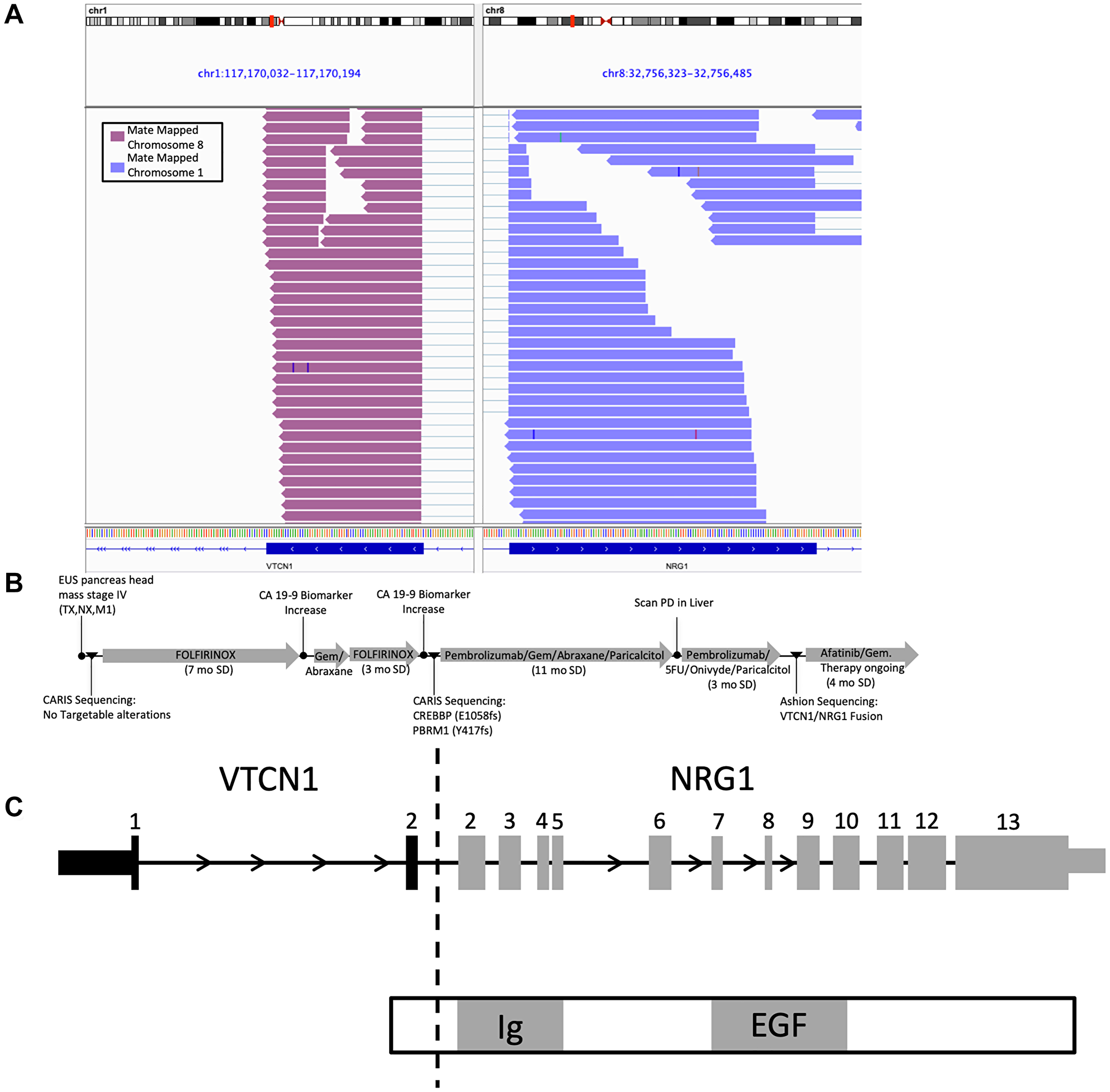 IGV graph