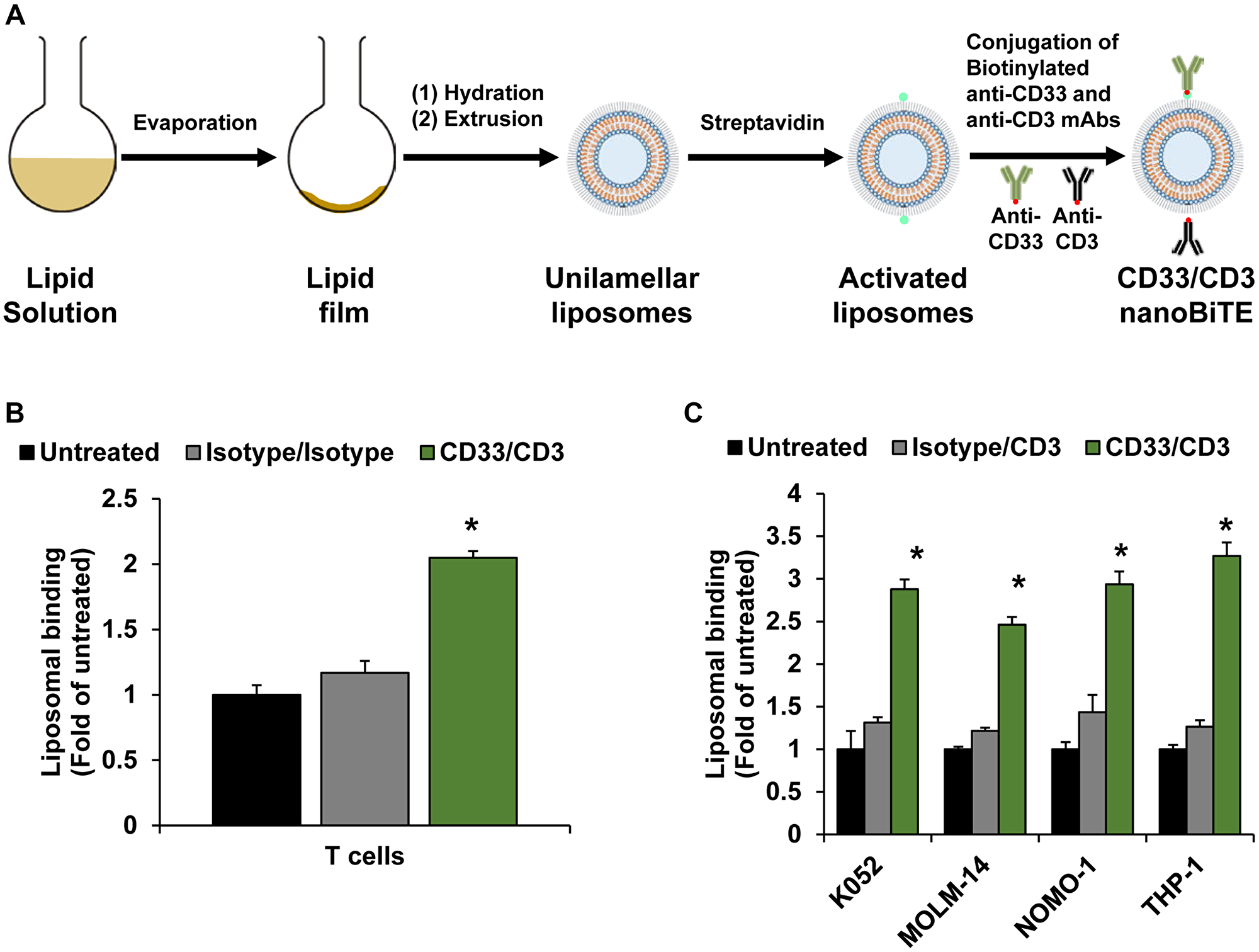 Development of nanoTCEs for AML