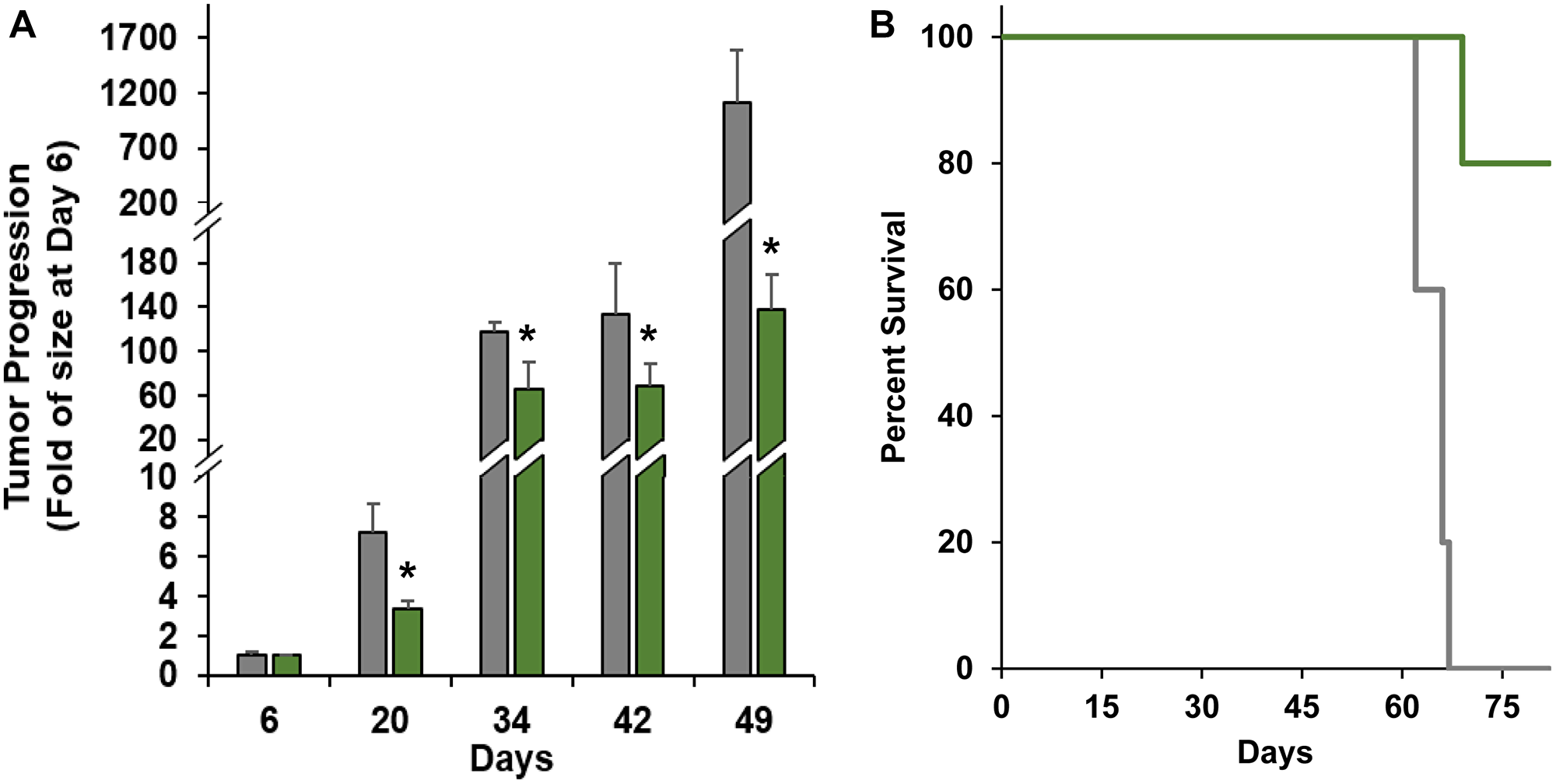 Efficacy of nanoTCEs in vivo