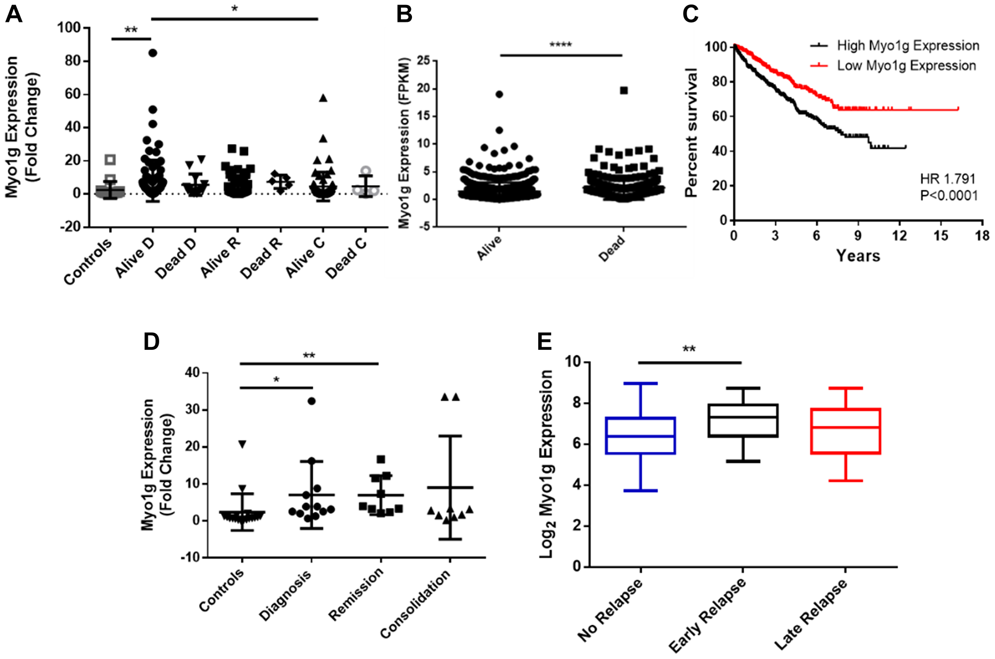 Myo1g is a potential biomarker in pediatric acute lymphoblastic leukemia