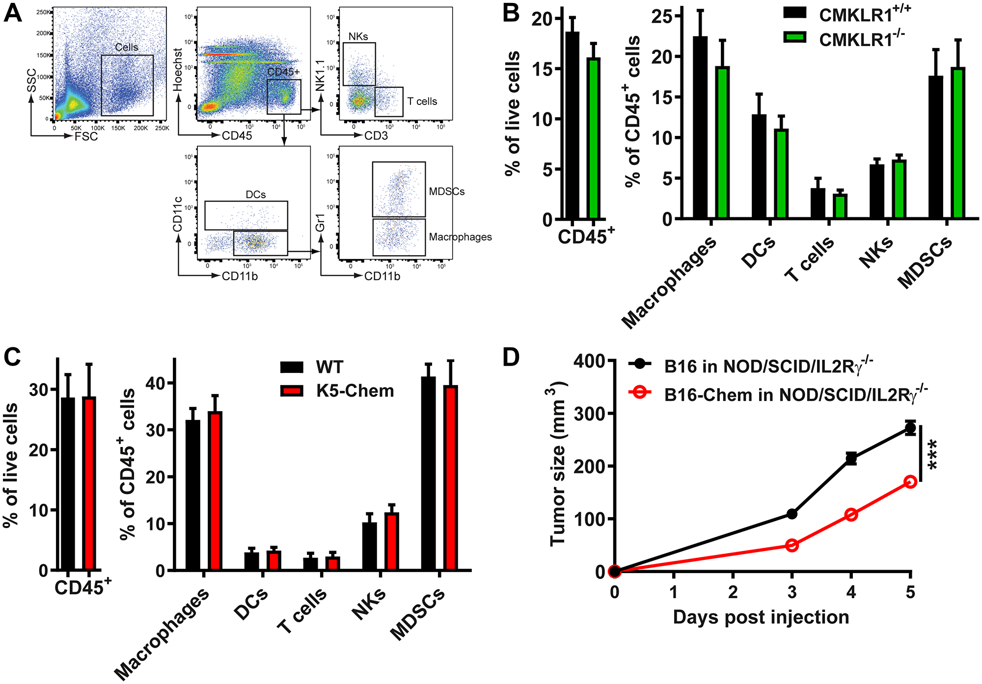 The anti-tumoral effect of chemerin is unrelated to leukocyte recruitment