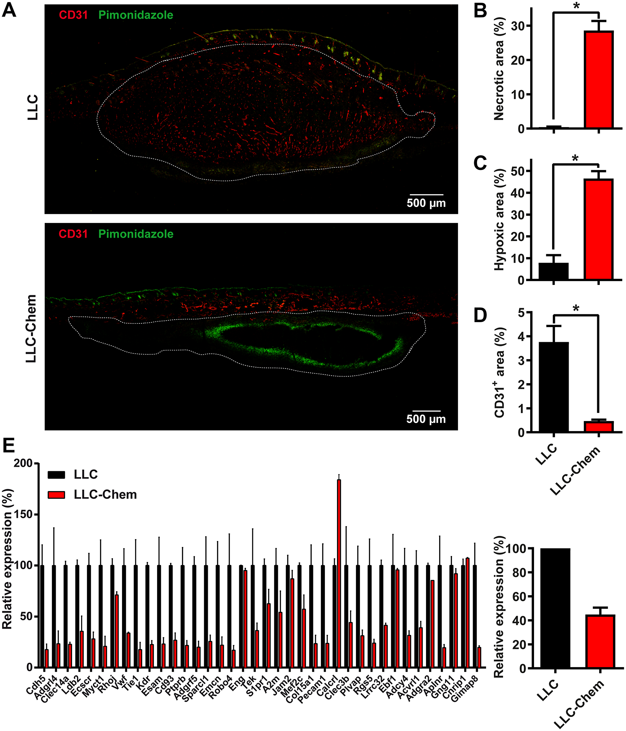 Chemerin expression promotes hypoxia and necrosis in tumors by decreasing angiogenesis