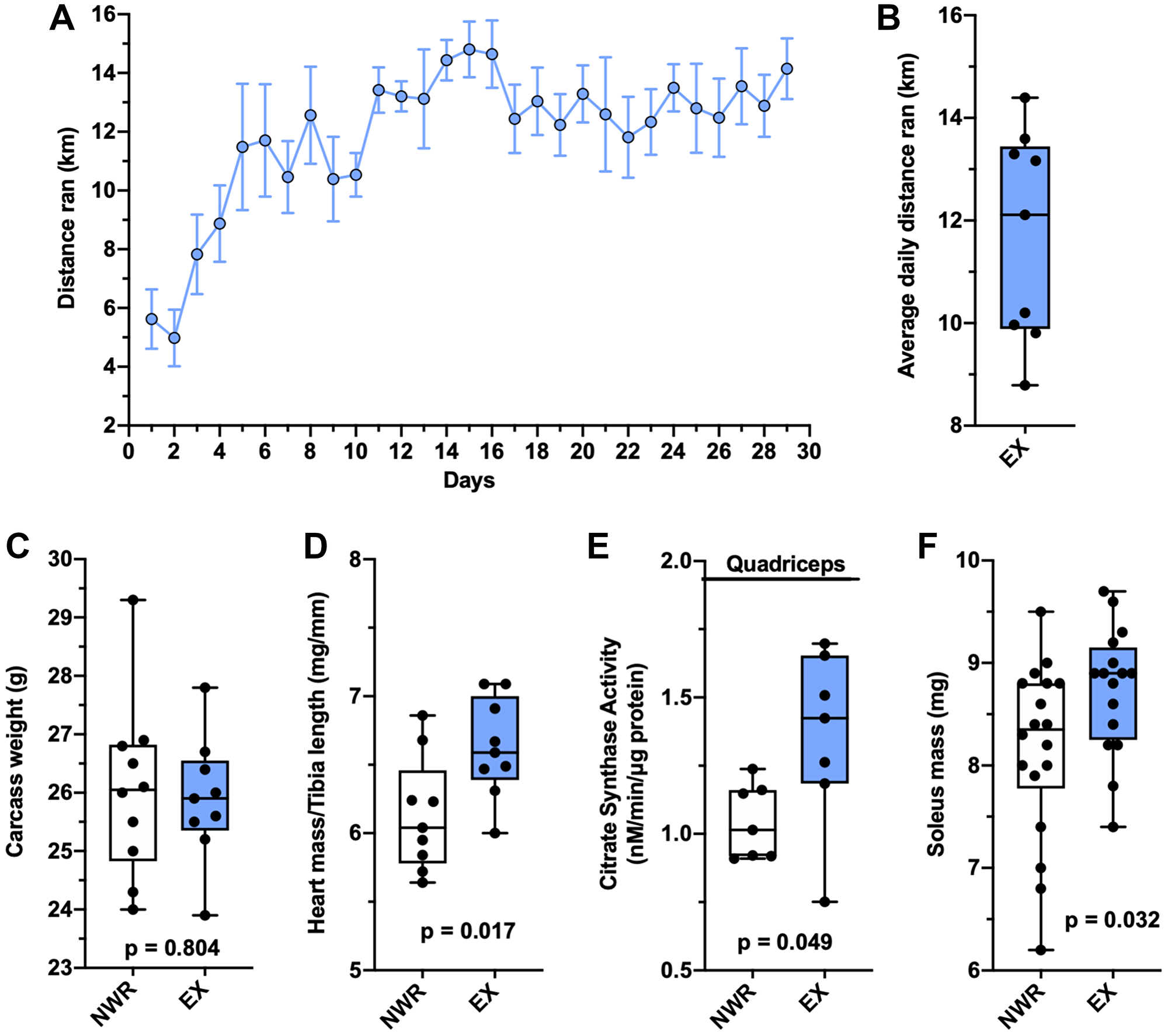 Voluntary wheel running induces aerobic adaptations