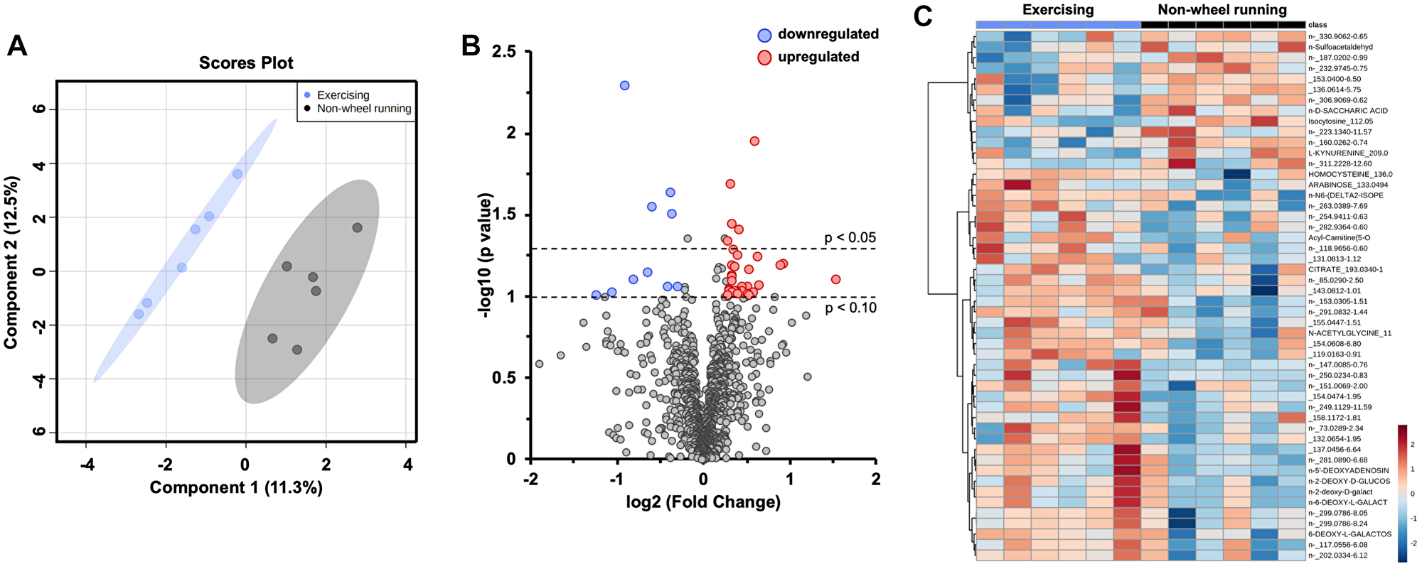 Aerobic exercise influences intratumoral metabolism