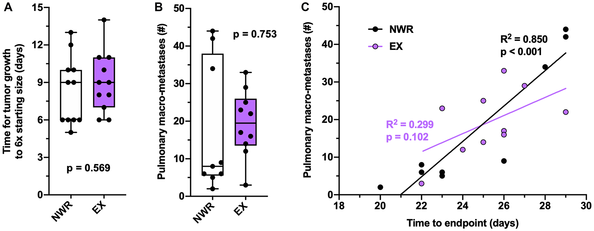 Pulmonary metastasis is not affected by aerobic exercise