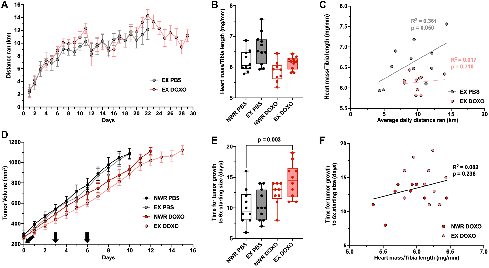 Aerobic exercise increases the anti-tumor efficacy of doxorubicin chemotherapy