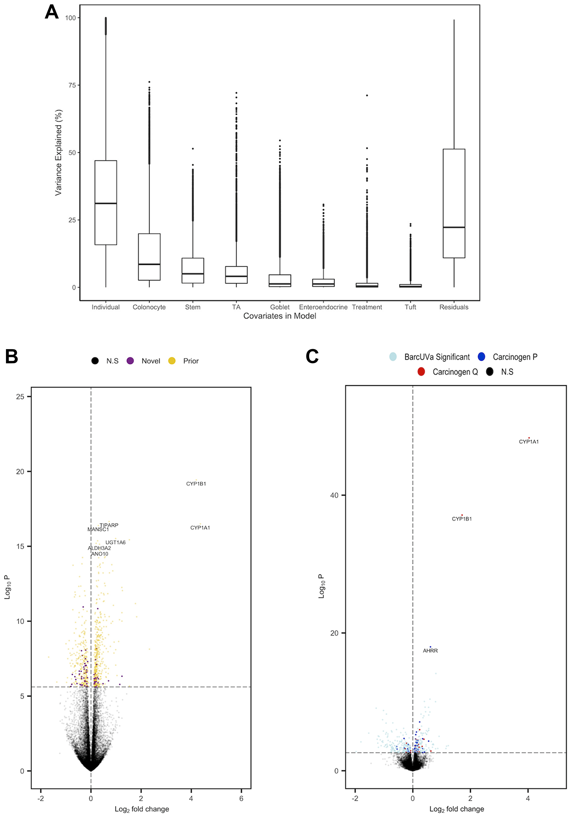 Summary of analysis of carcinogen exposure of organoids following adjustment for cell composition