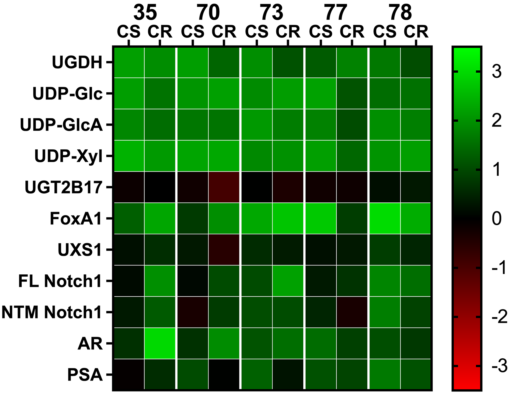 Comparative analysis of gene expression and metabolite levels in PDX tissue