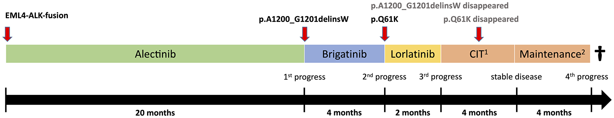 Therapy timeline and polyclonal tumor evolution