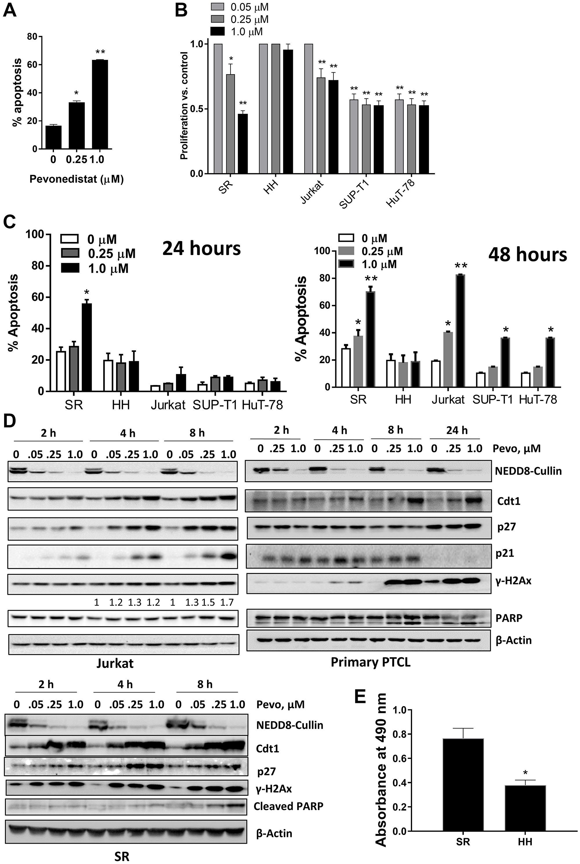 Pevonedistat induces neoplastic T cell apoptosis