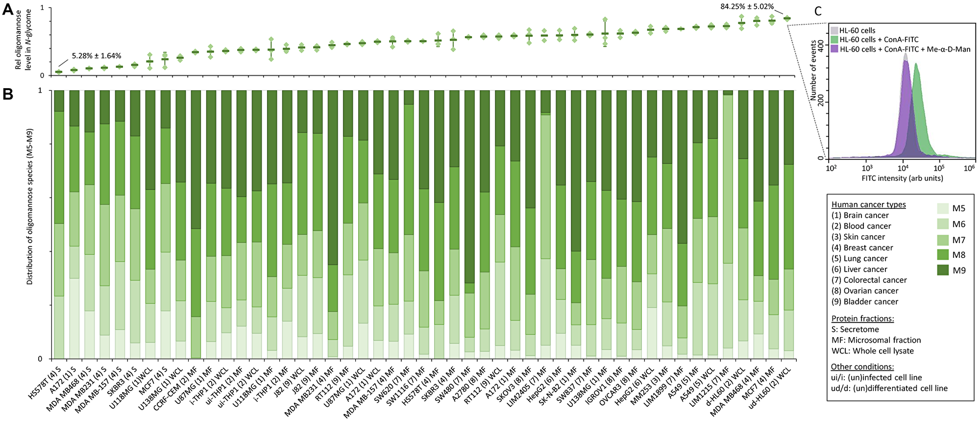 Oligomannose content across human cancer cell lines