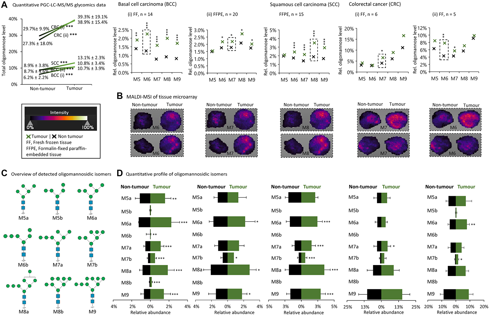 Tissue glycomics and MALDI-MSI data show oligomannose elevation in a subset of cancers