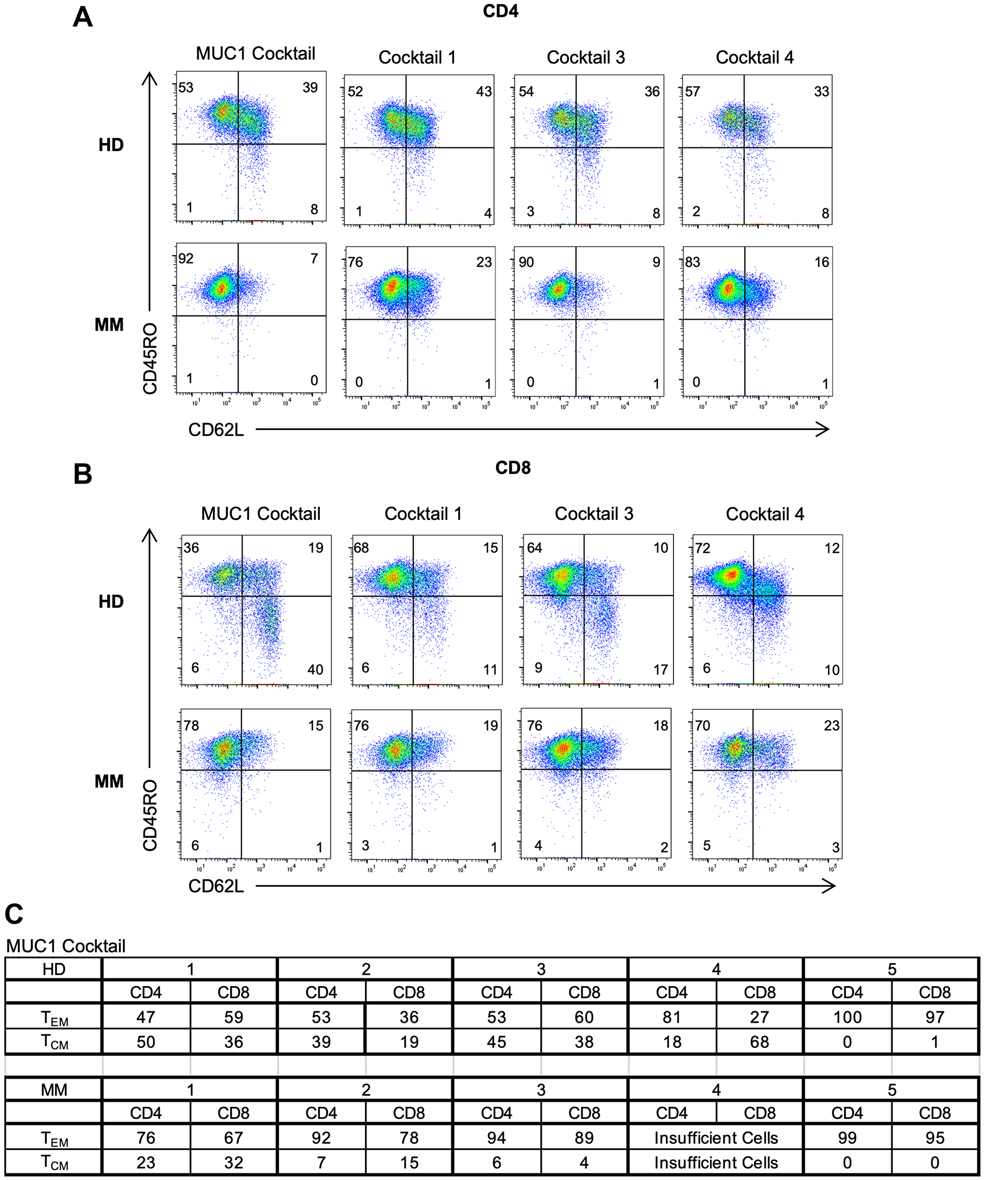 Generation of both effector and memory T cells in MM patients and HDs following peptide activation