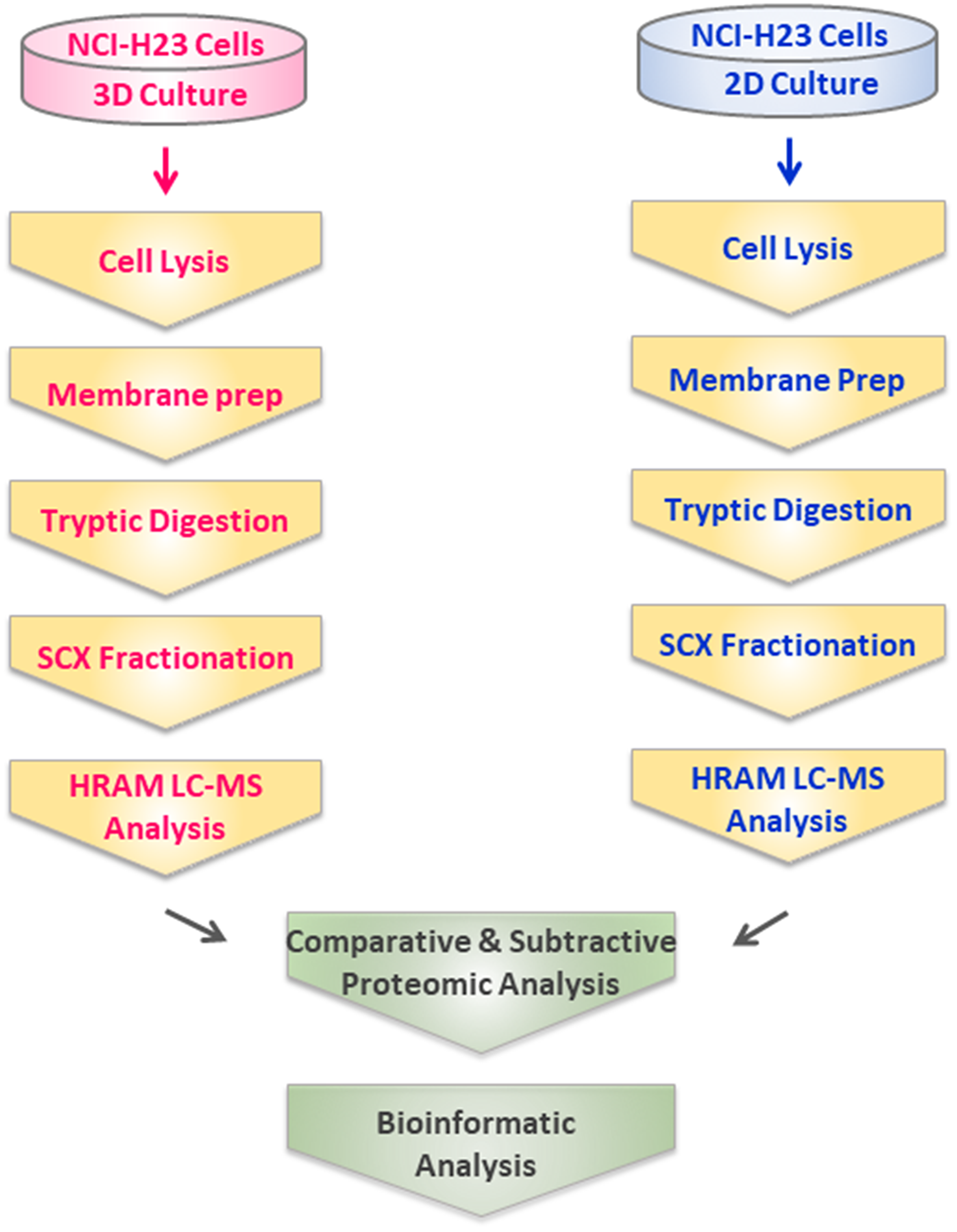 Experimental design and workflow for comparative profiling of 3D- and 2D-cultured NCI-H23 cells using comparative shotgun proteomics