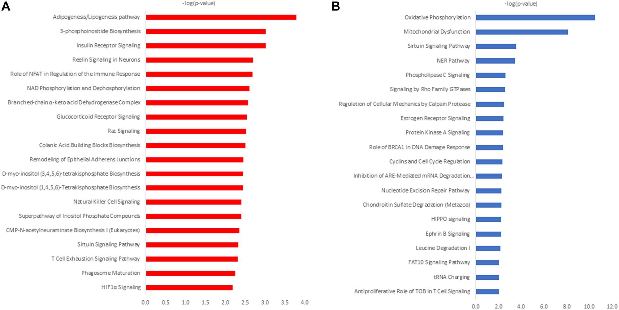 IPA canonical pathway analysis of differentially expressed proteins in 3D cultured NCI-H23 cells (A) and 2D-cultured NCI-H23 cells (B).