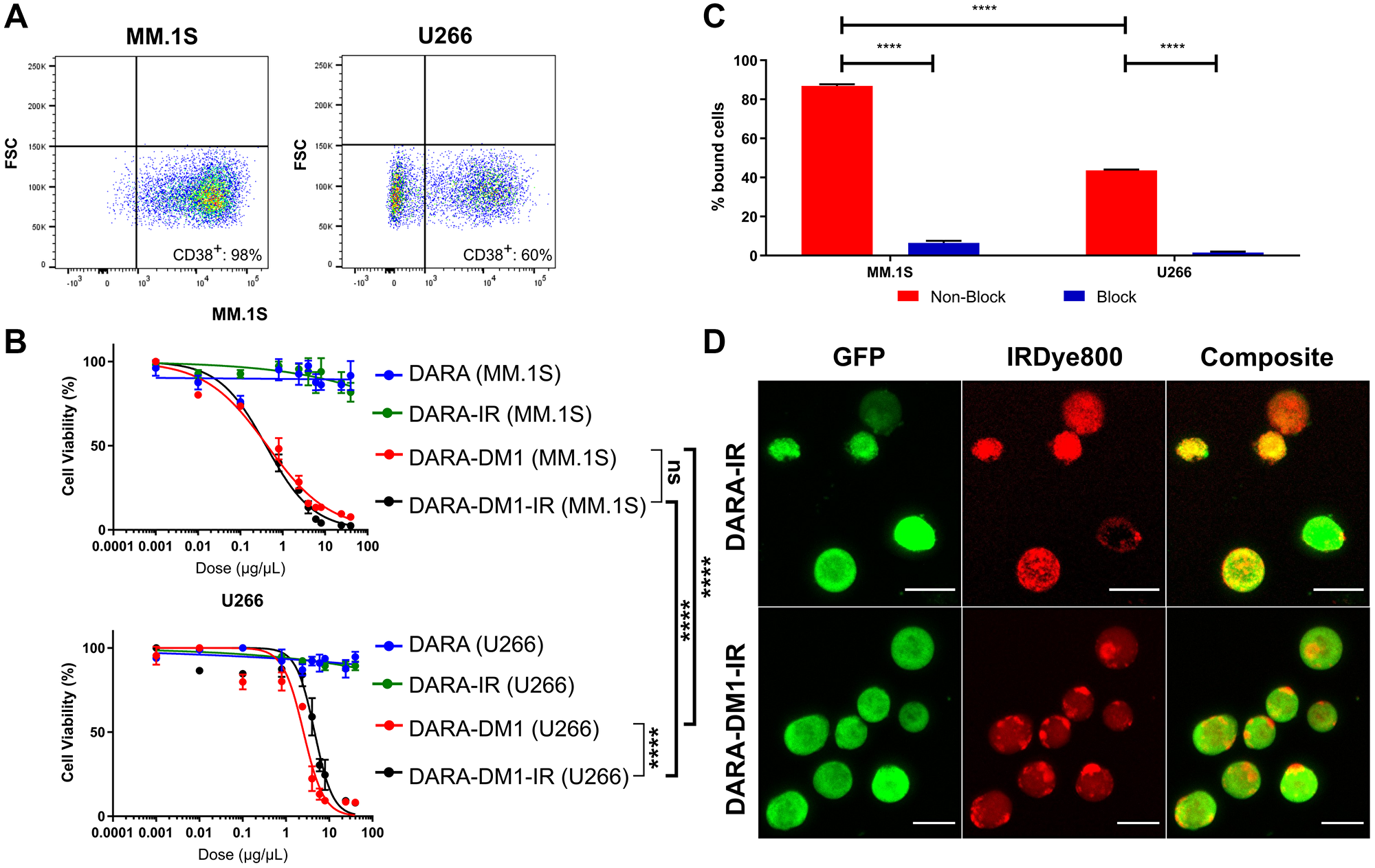 In vitro evaluation of cytotoxicity, binding and internalization of DARA-DM1-IR