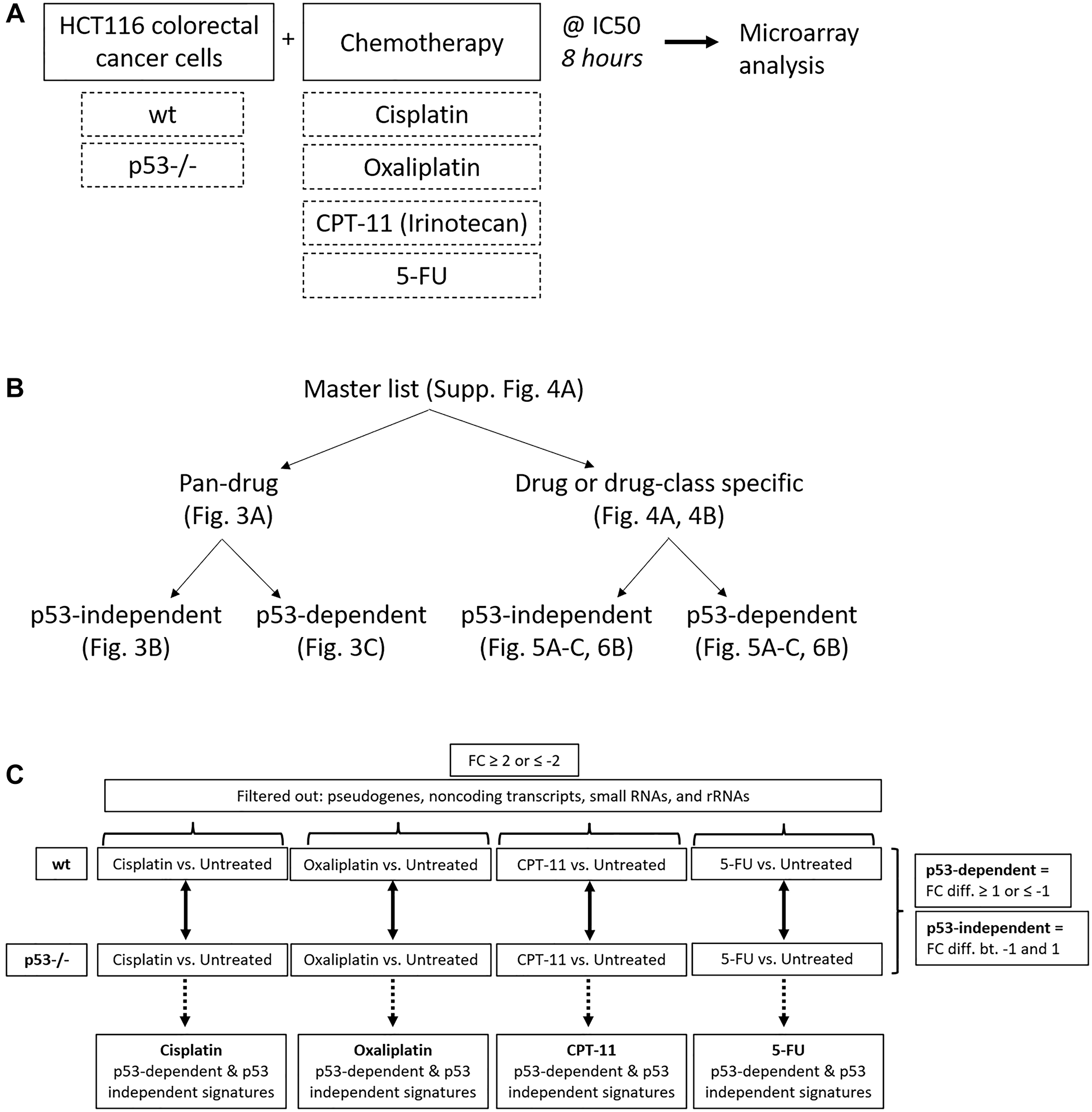 Creation of pan-drug, drug-specific, drug class-specific, p53-independent, and p53-dependent gene signatures