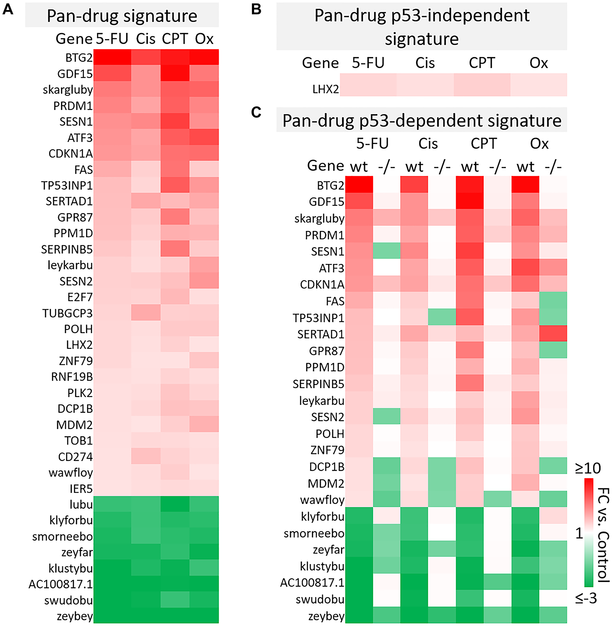 Pan-drug gene signatures after 5-FU, CPT-11, oxaliplatin, and cisplatin treatment of human colorectal cancer cells
