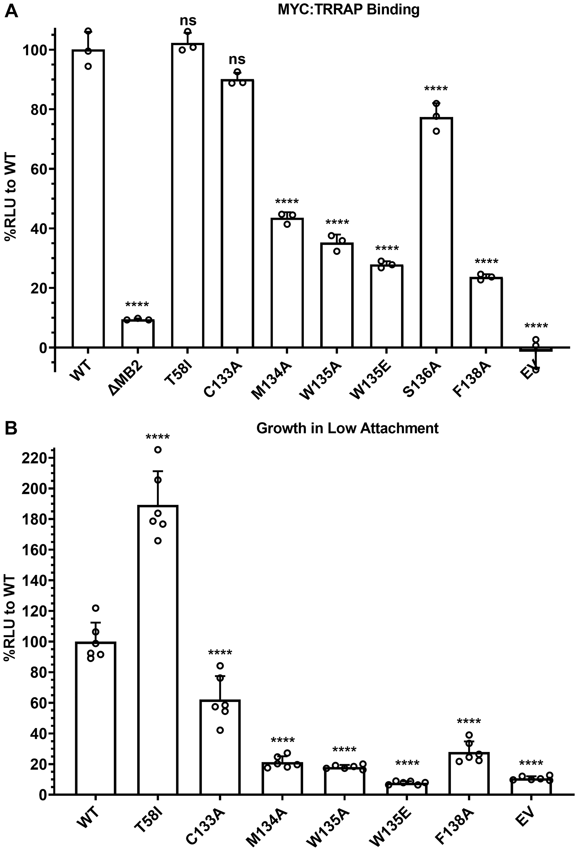 MB2 substitutions affect TRRAP binding and cellular transformation