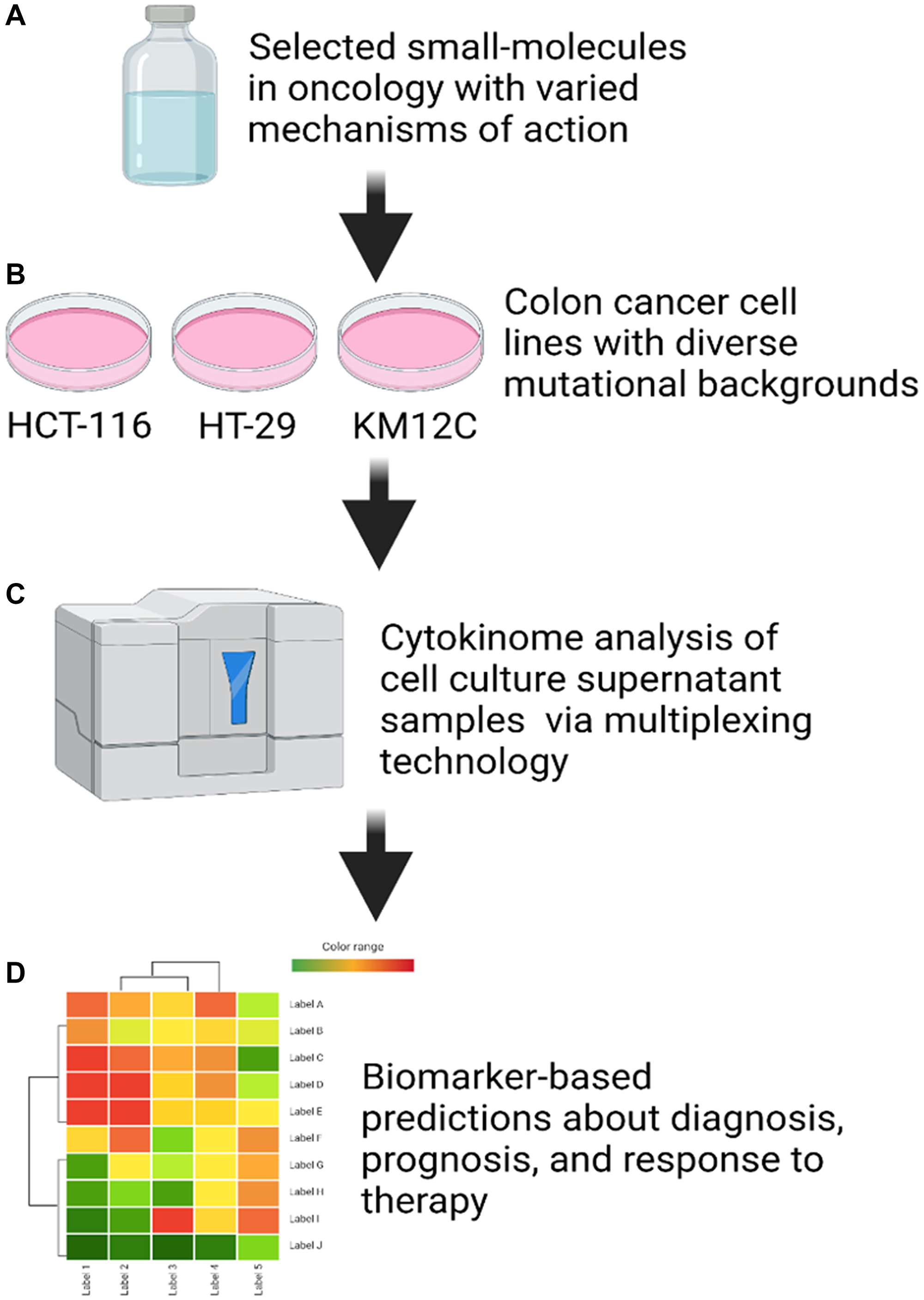 Cell culture supernatant cytokinome analysis workflow
