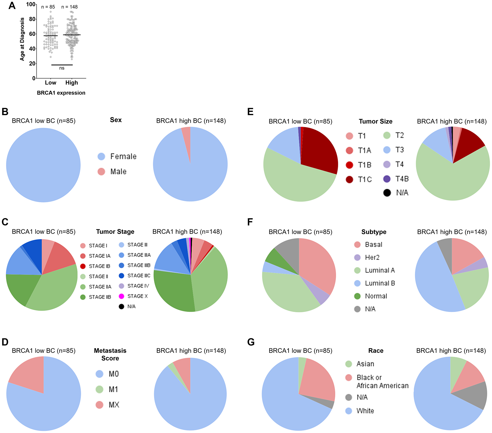 Distribution of age, sex, tumor stage, metastasis score, tumor size, subtype, and race across BRCA1 low versus high groups in breast cancer