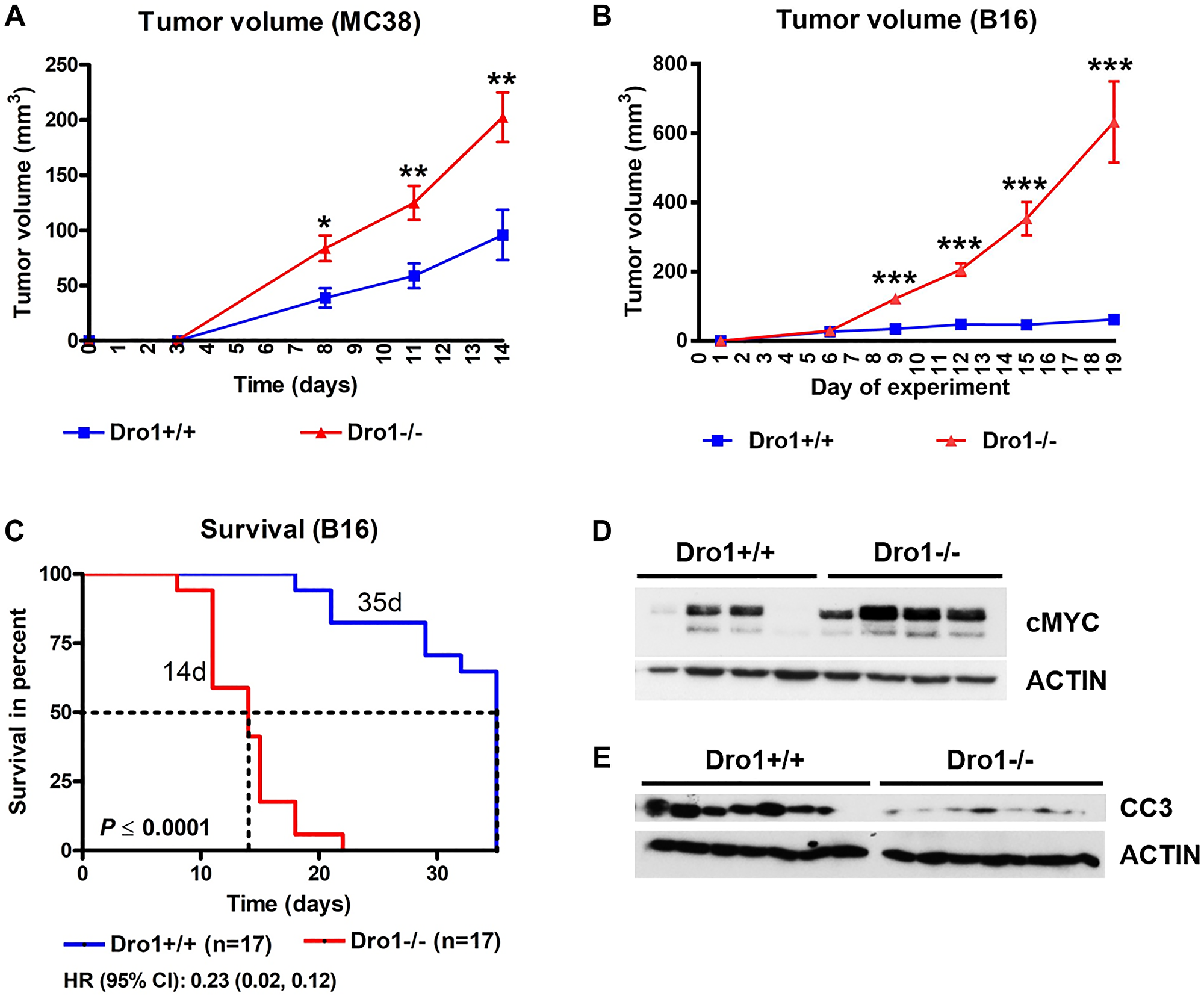 Host Dro1/Ccdc80 suppresses growth of xenograft tumors