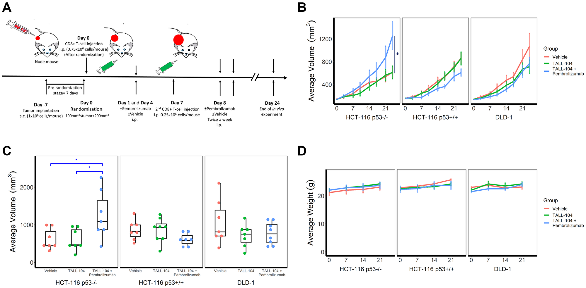 Humanized hyperprogressive disease (HPD)/hyperprogression (HP) cancer immunotherapy model