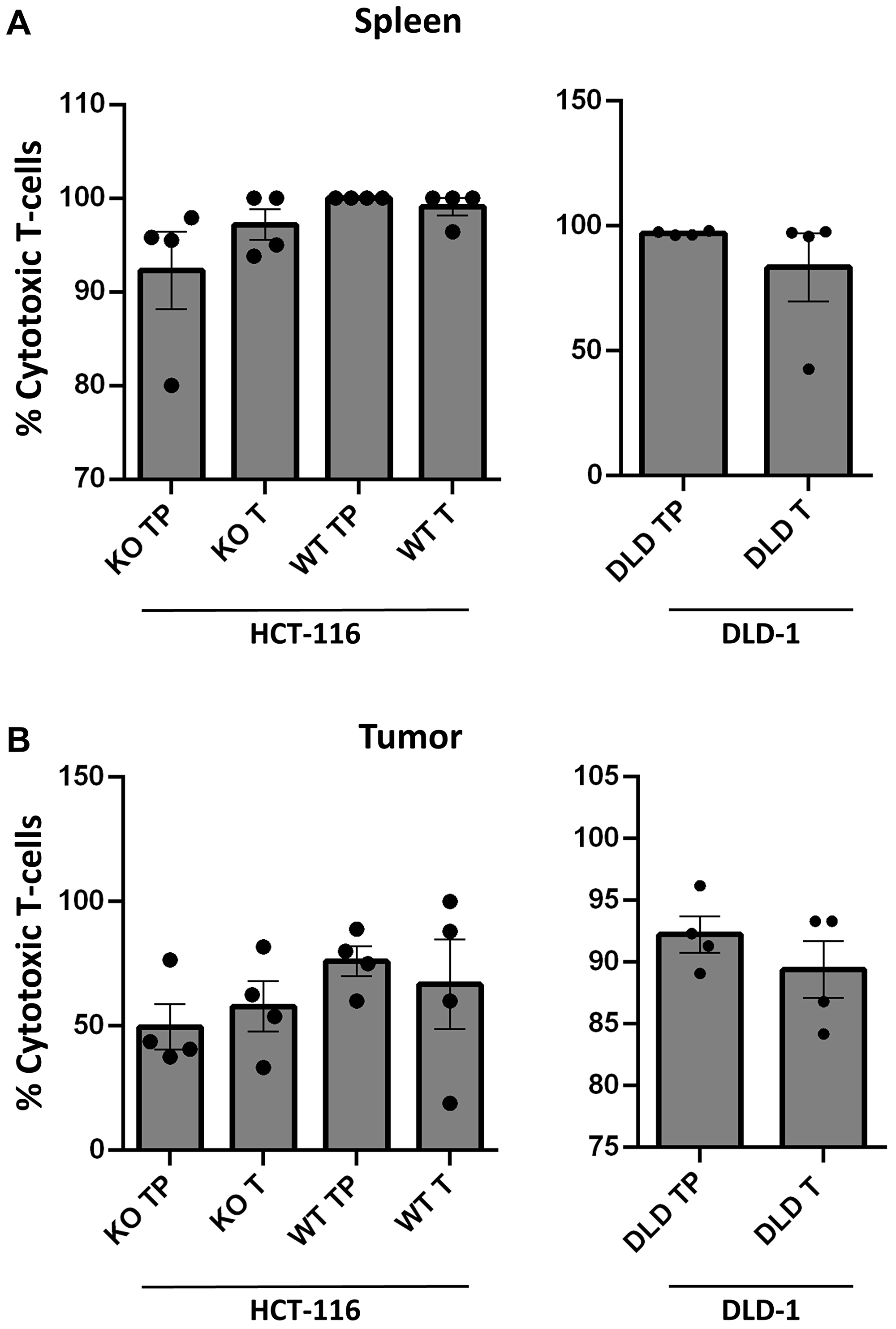 Establishment of TALL-104 in circulation within humanized mouse models