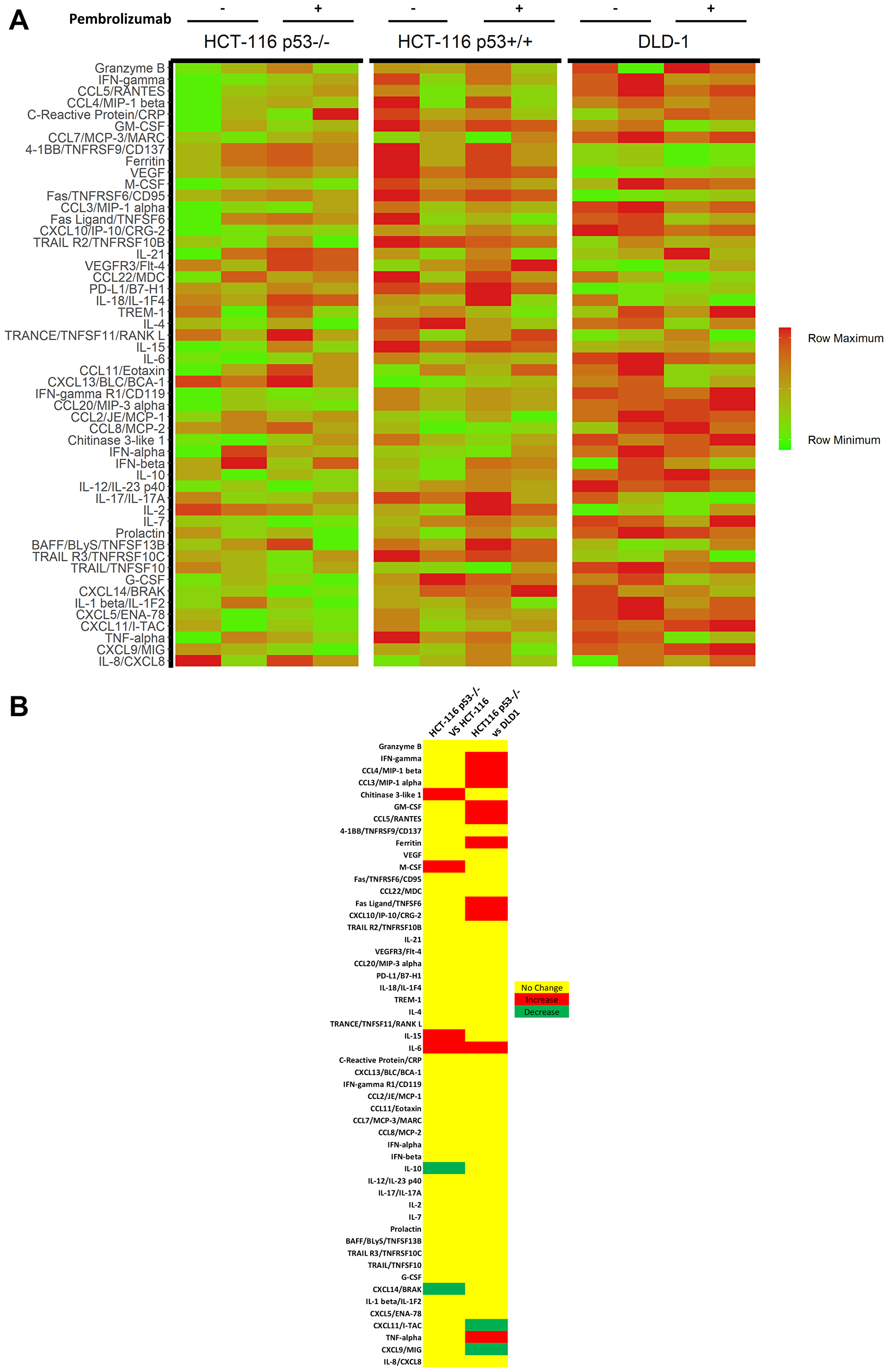 Cytokine profiling of in vitro CRC cell lines and TALL-104 co-cultures
