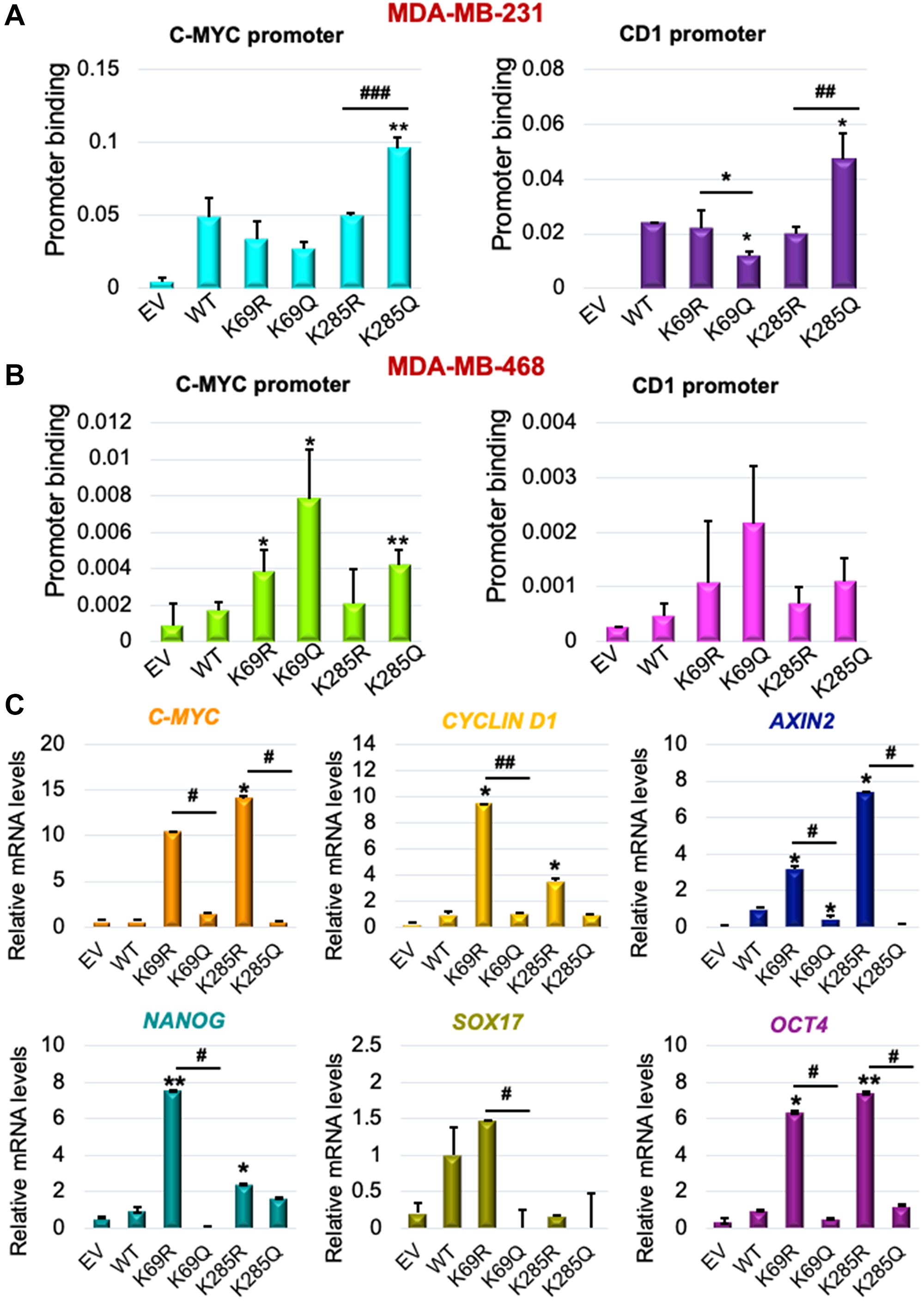 K69 and K285 lysine residues influences its binding and regulation of WNT target genes in triple-negative breast cancer models