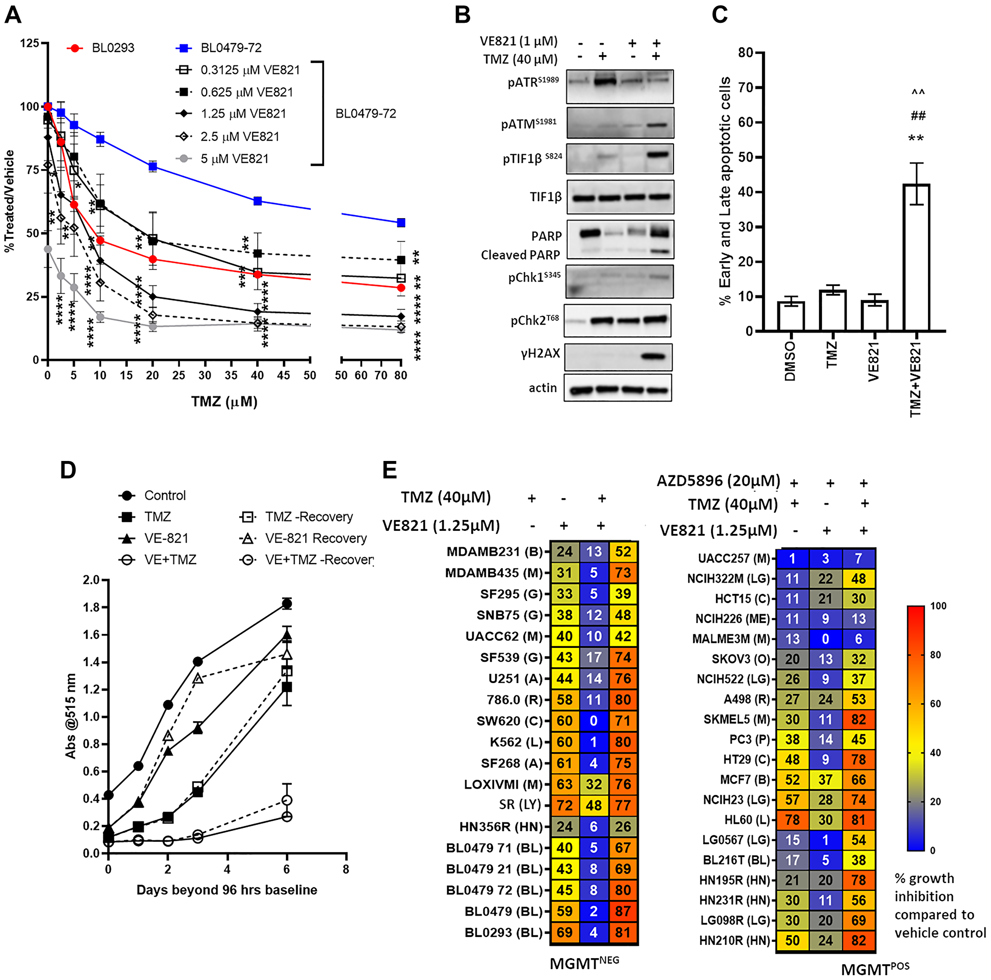ATR inhibition, in combination with TMZ, induces persistent DNA damage, growth inhibition and cell death in the majority of MGMT−ve/MMRproficient models