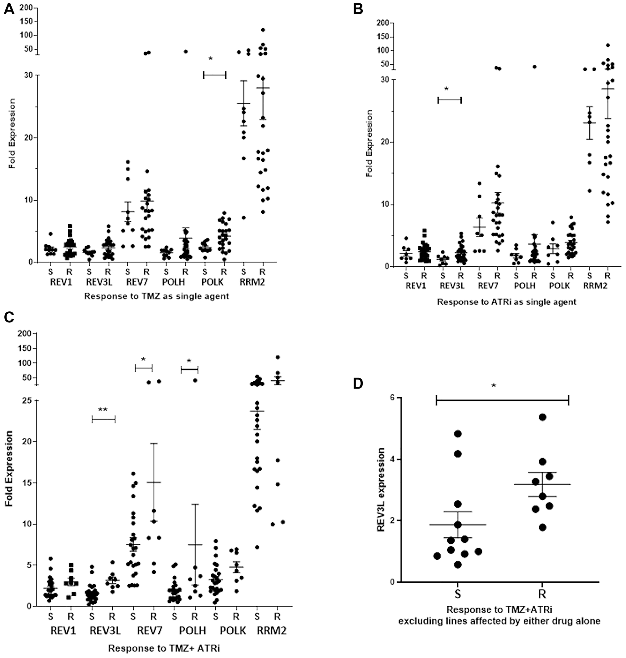 Low REV3L mRNA expression is associated with sensitivity to the combination of TMZ + ATRi