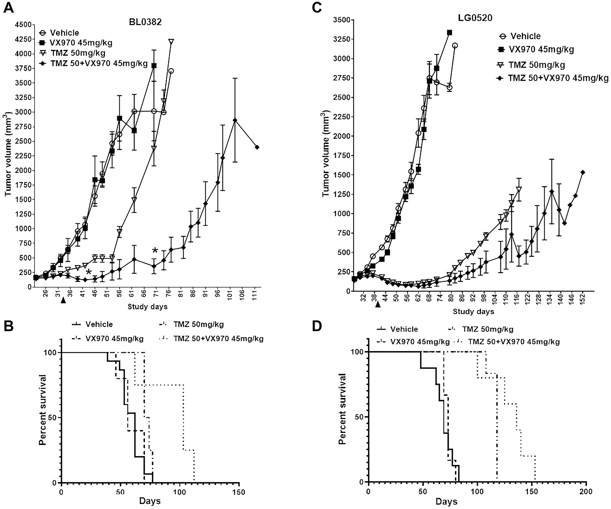 MGMTlow/MMRproficient/LOHhigh PDX models are responsive to the TMZ + ATRi combination