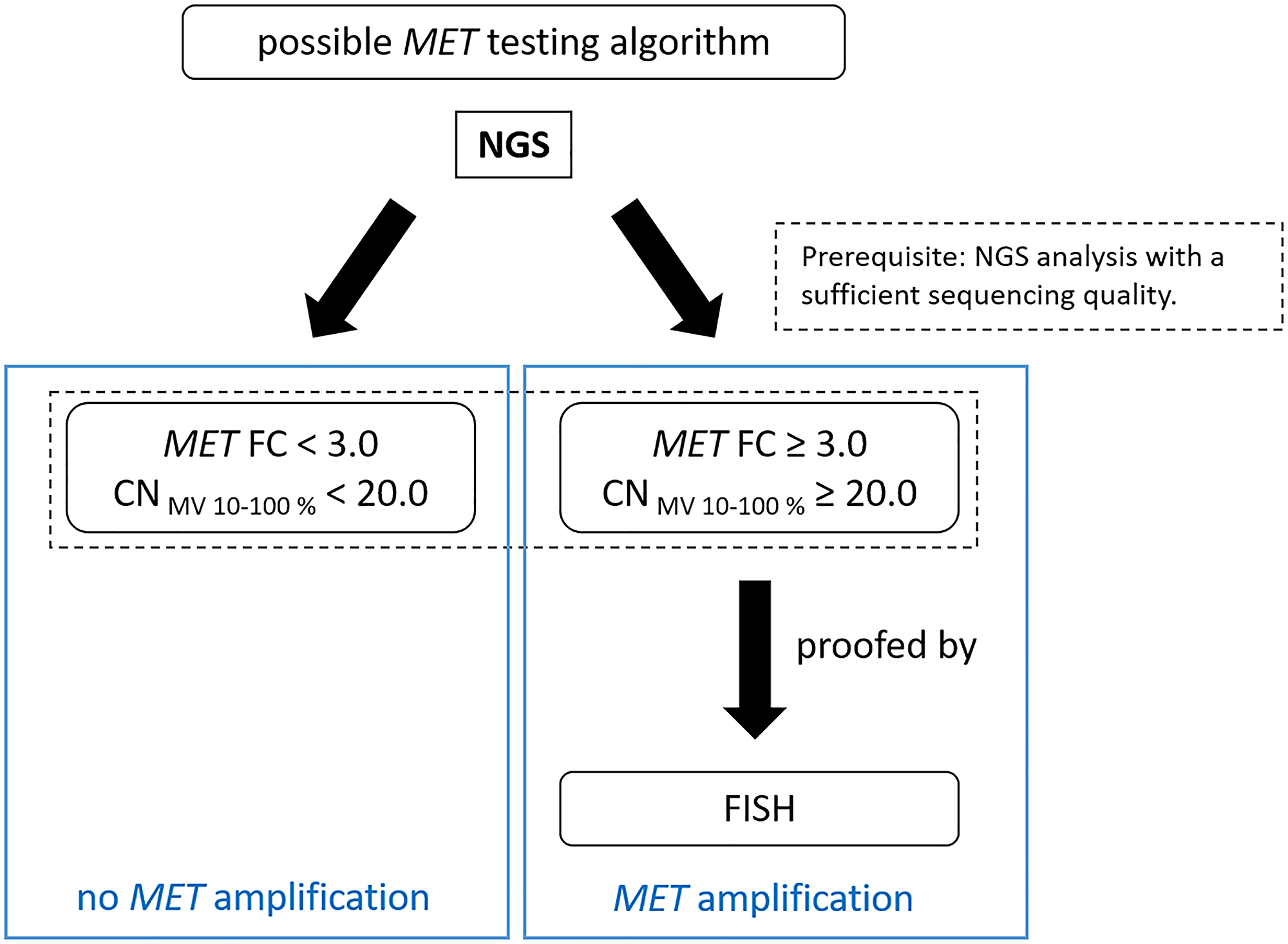 Suggested testing workflow for the detection of MET amplifications by QIAGEN workflow