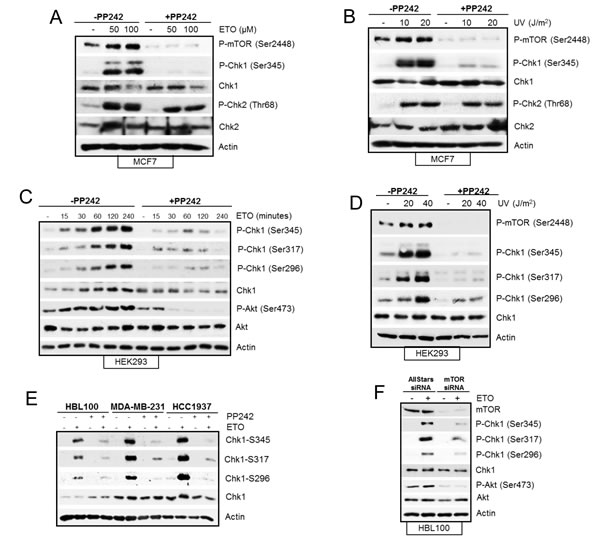 fig4